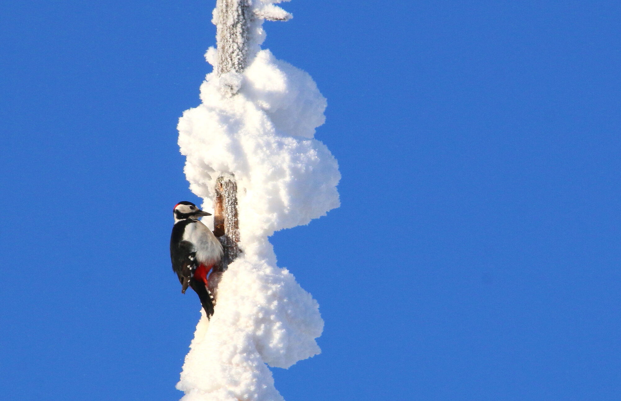Valokuvaaja: Tuukka Pahtamaa