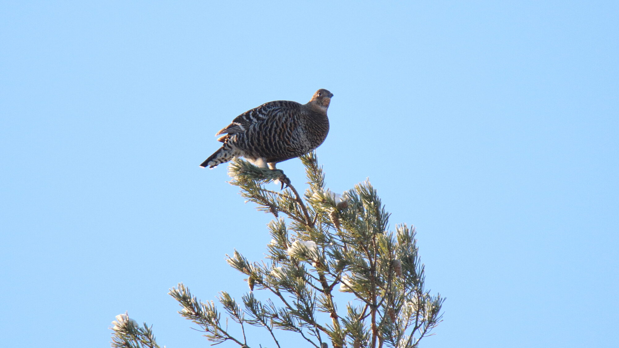 Valokuvaaja: sirpa Jyske