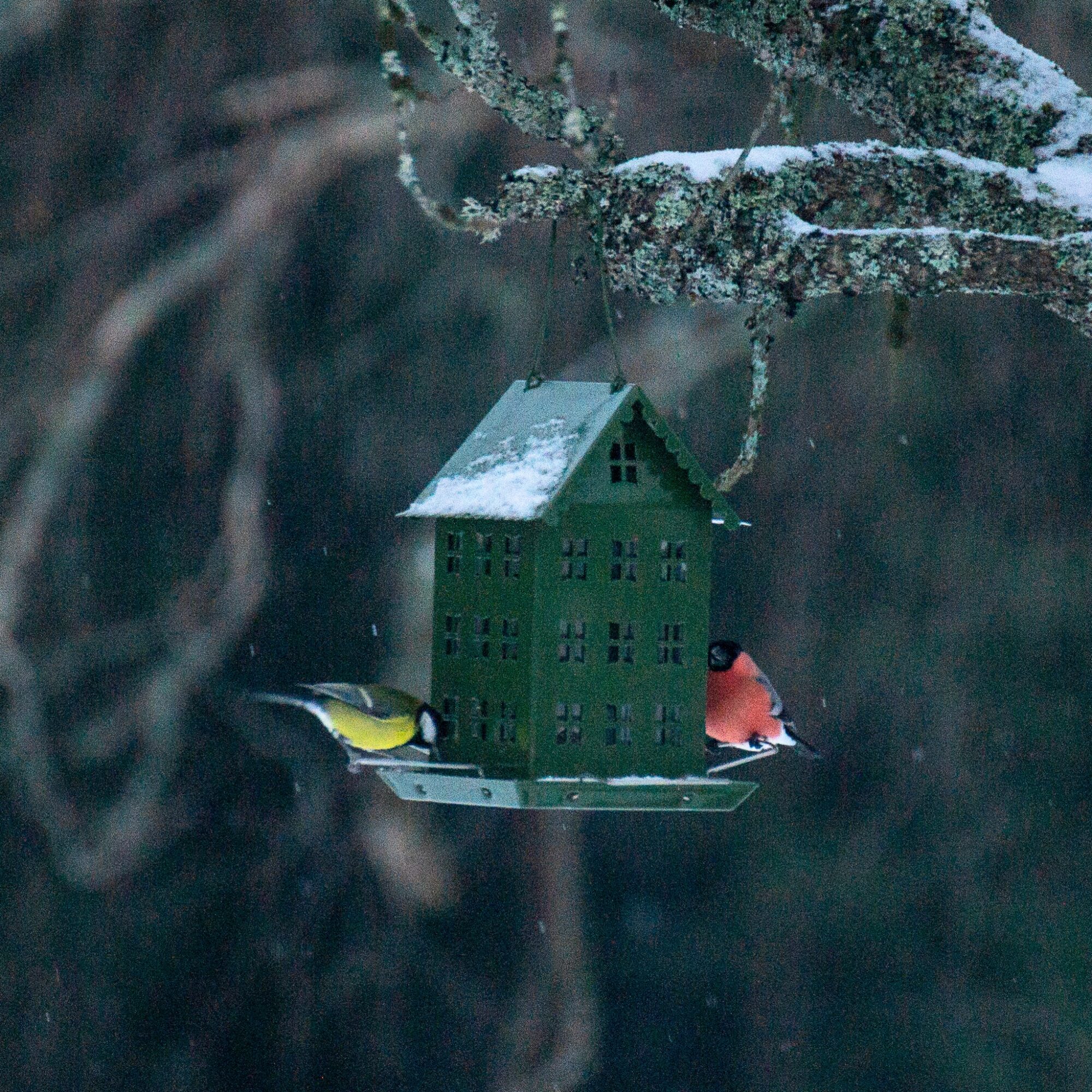 Valokuvaaja: Helena Minkkilä