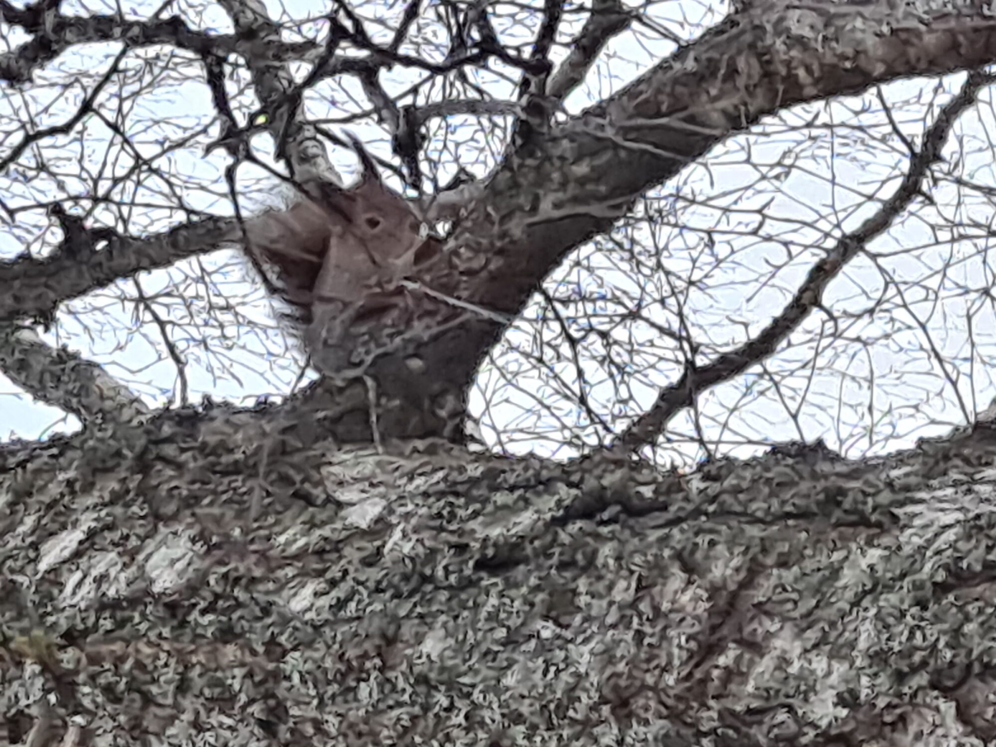 Valokuvaaja: Satu Suuntala