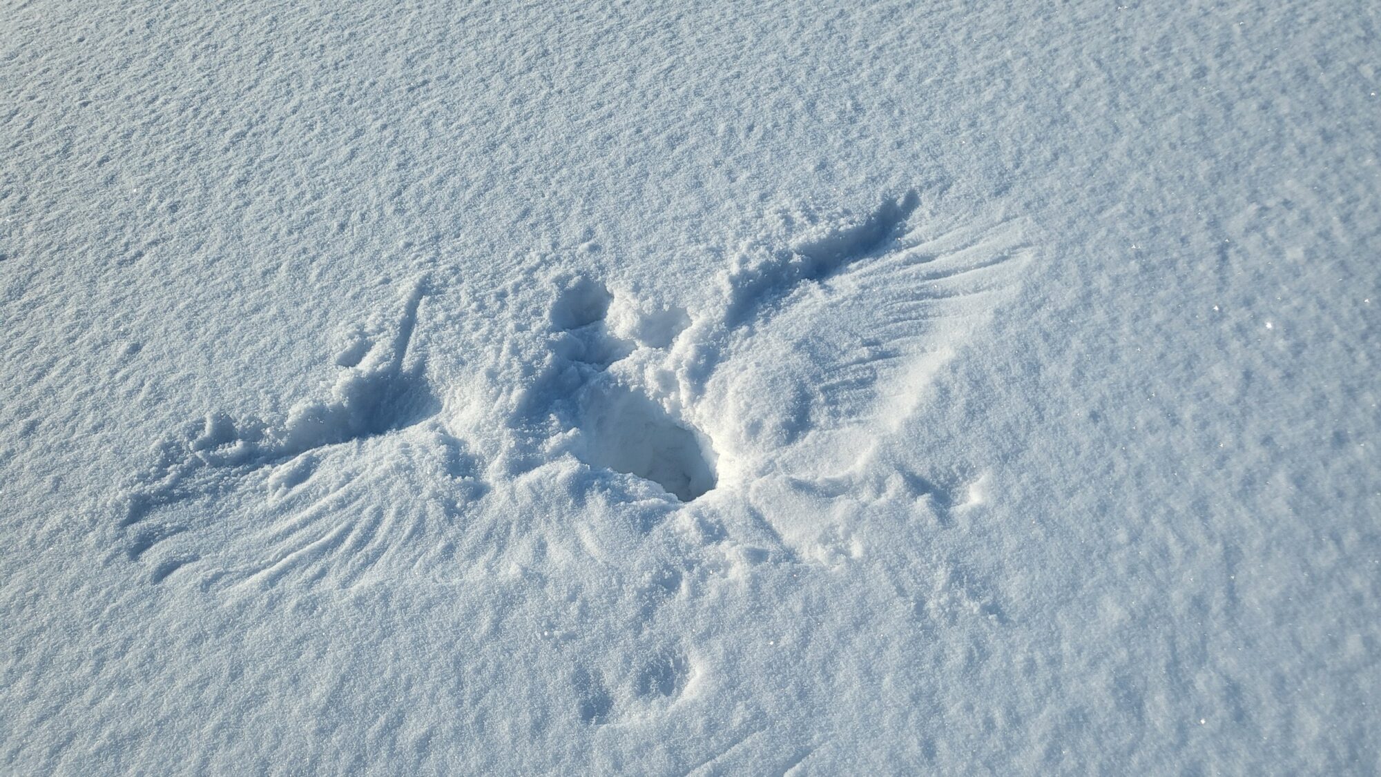 Valokuvaaja: Pirre Valokuvaaja: Pirre