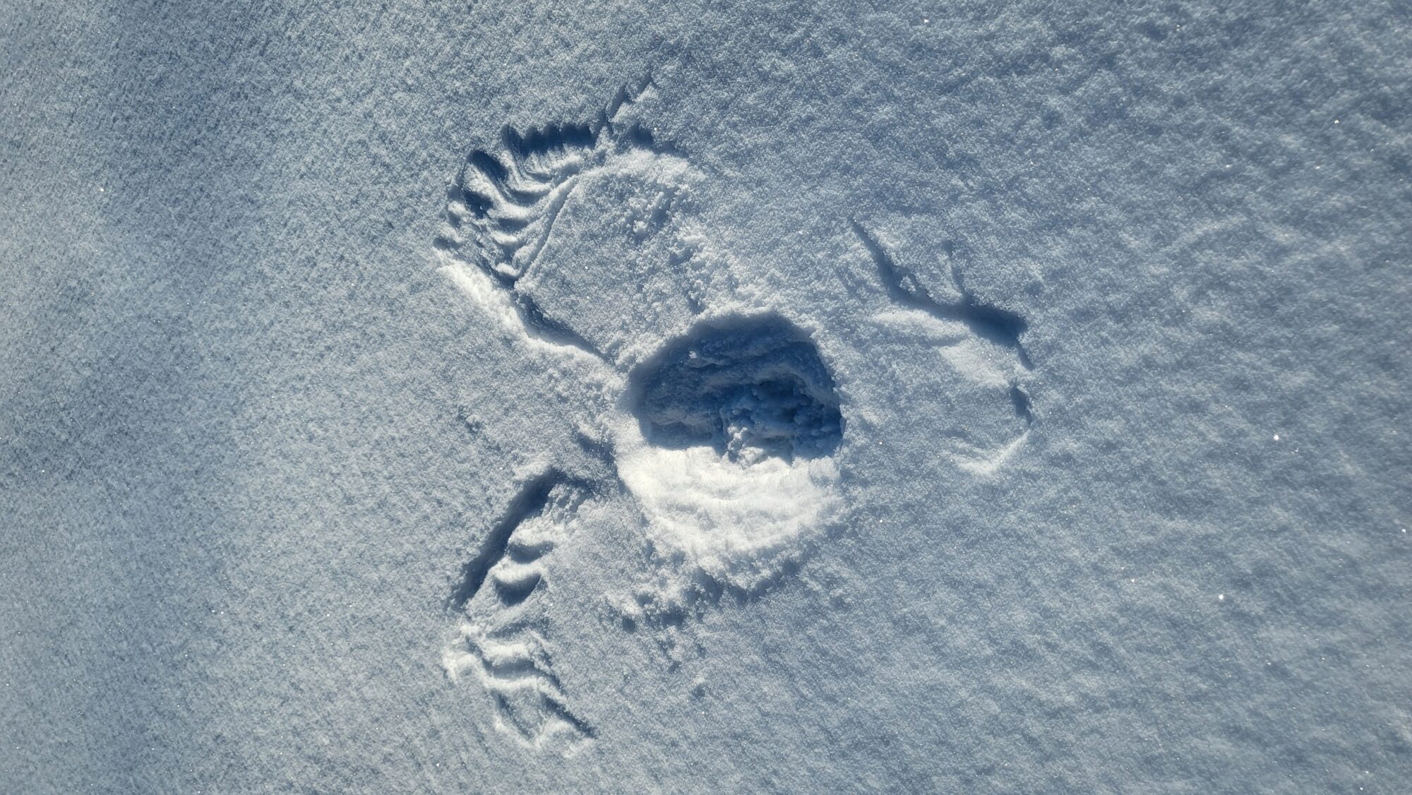 Valokuvaaja: Pirre Mäntylä