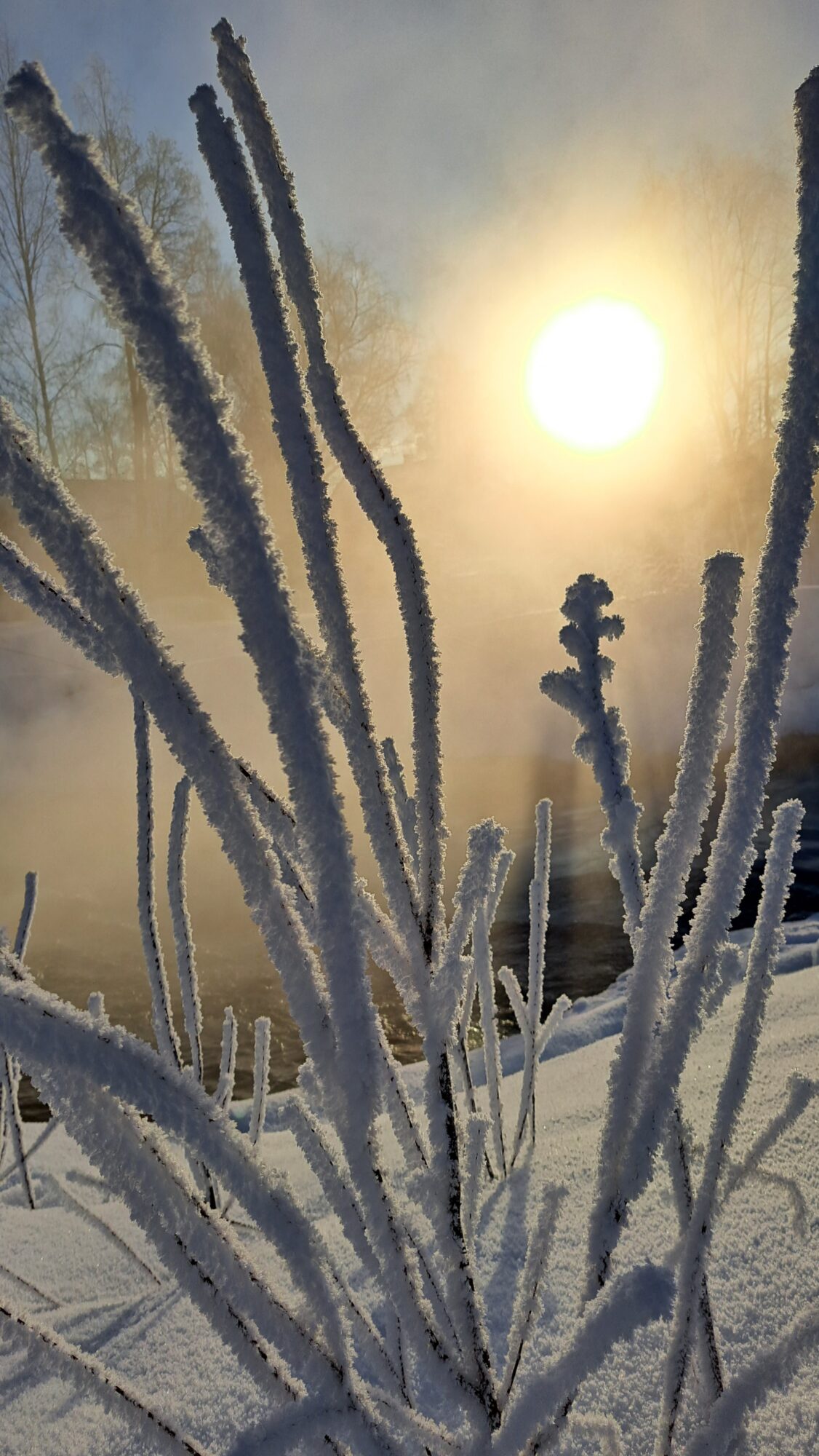 Valokuvaaja: Irja Lehtinen