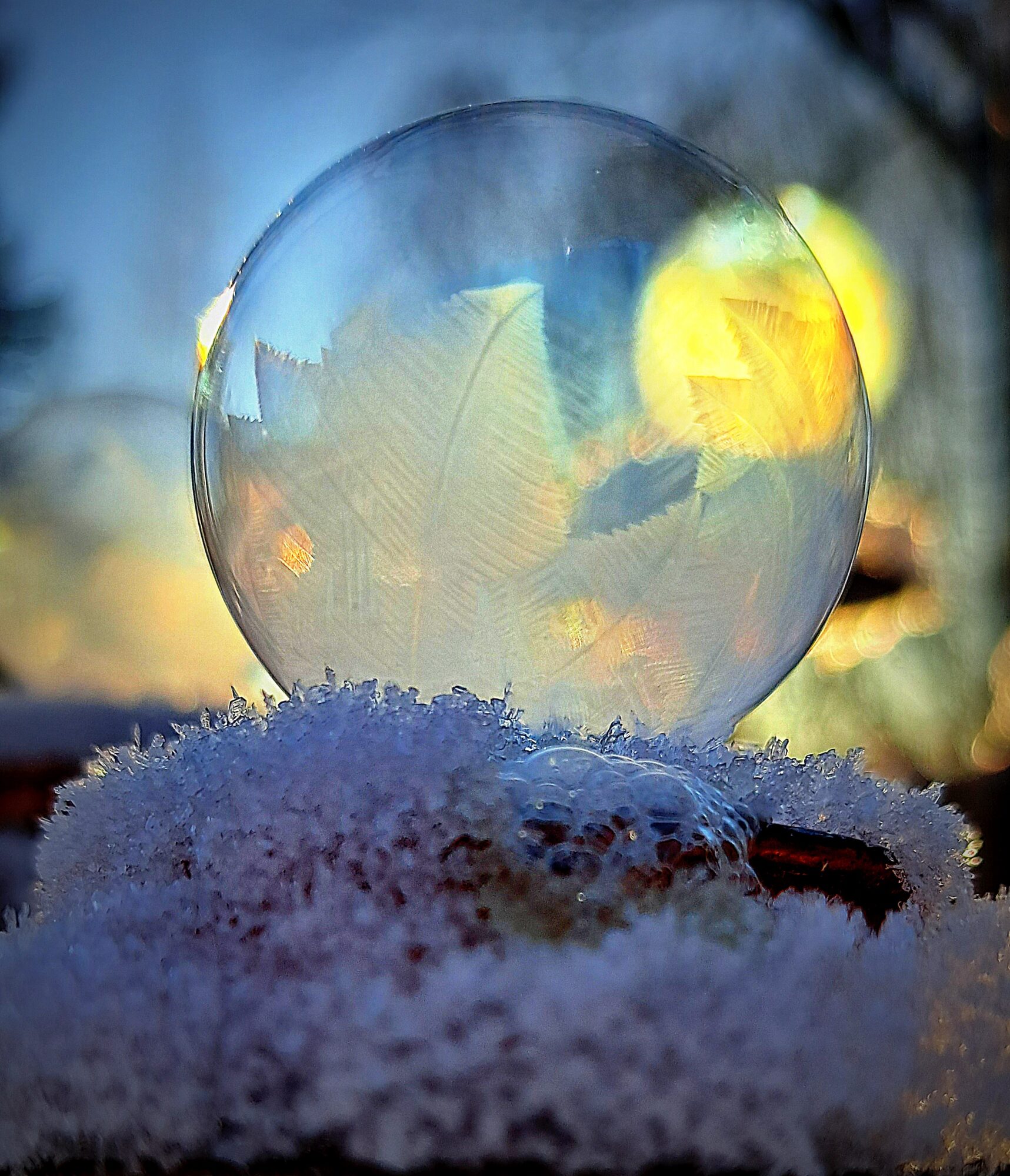 Valokuvaaja: Irja Lehtinen