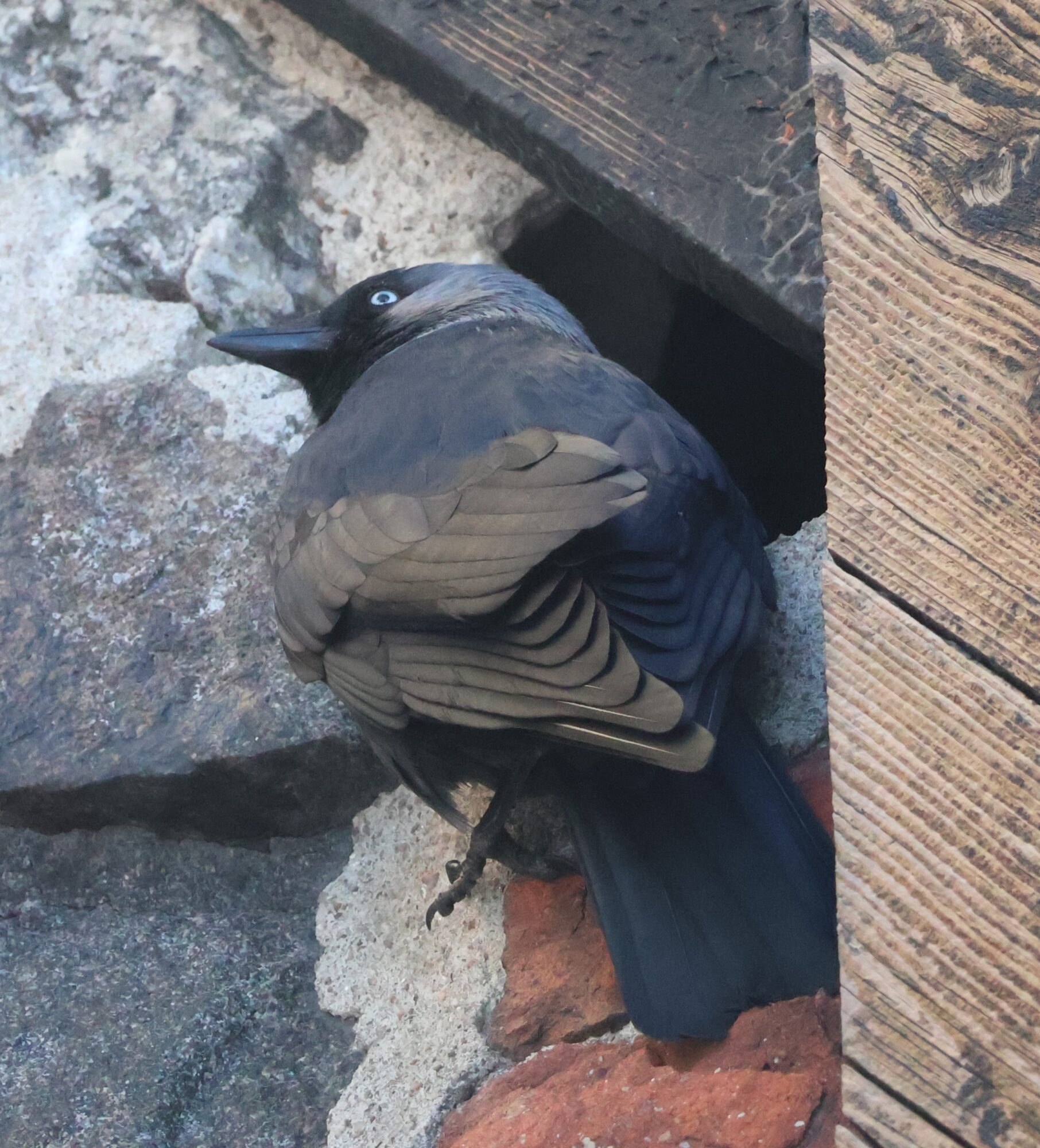 Valokuvaaja: Rönty Hanna