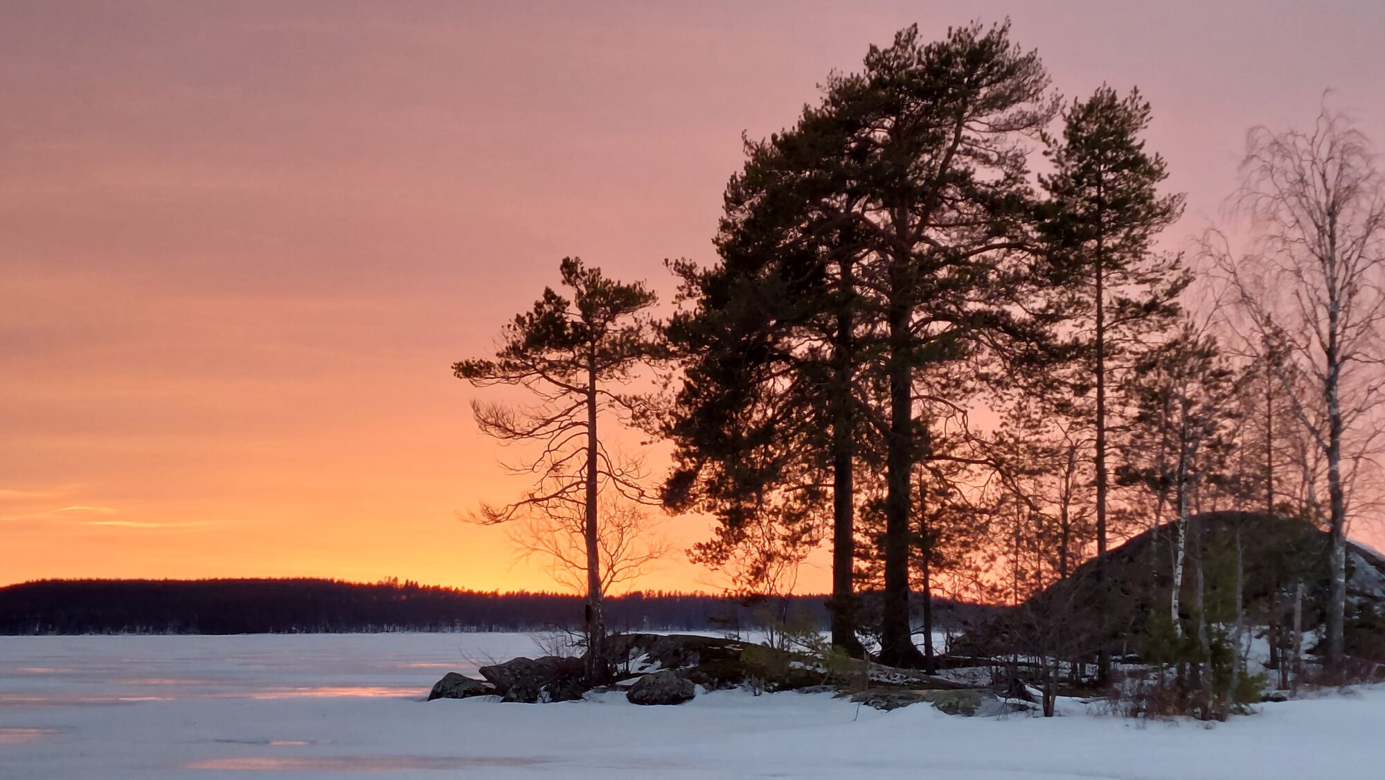 Valokuvaaja: Tarja Naukkarinen