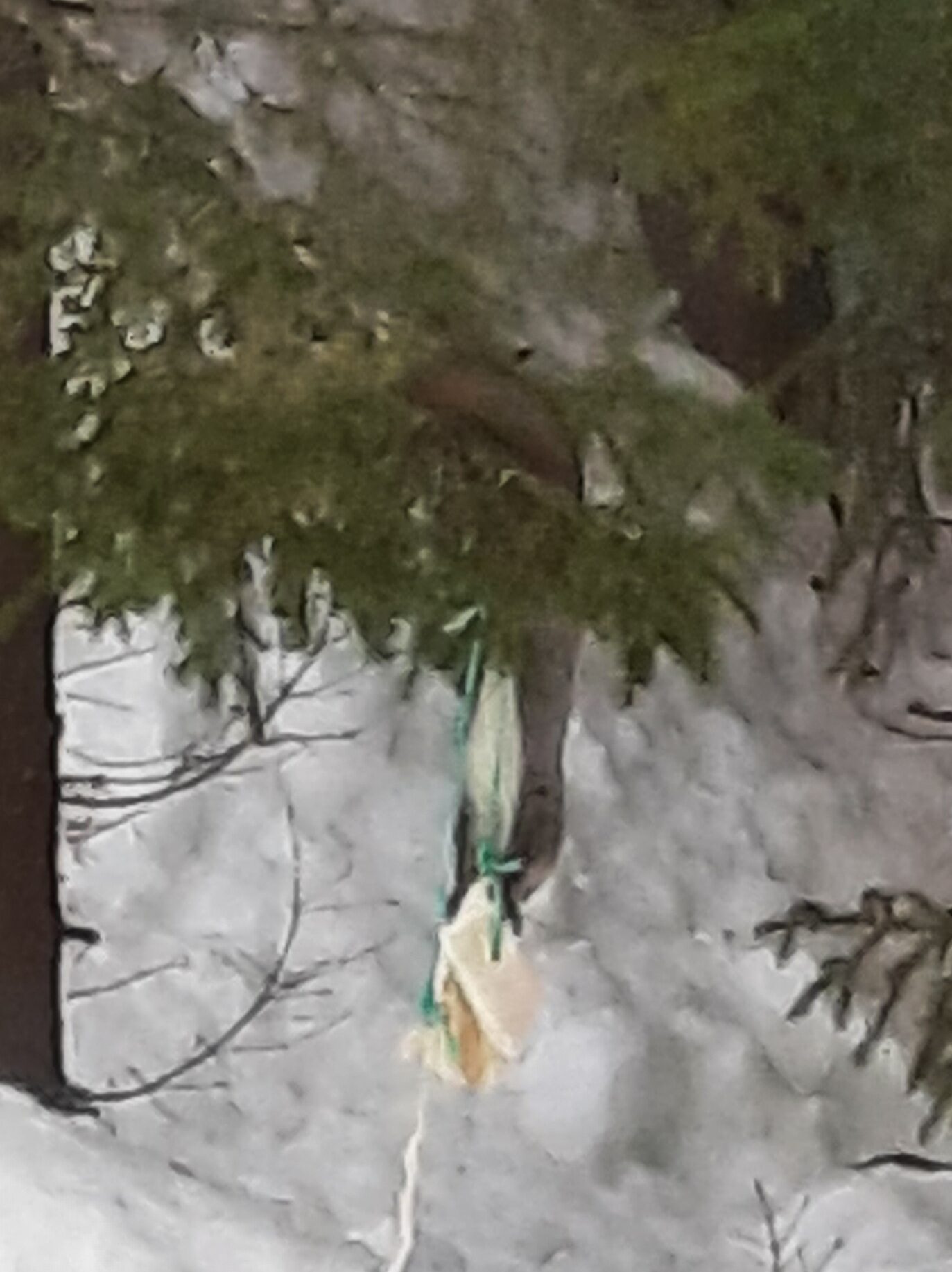 Valokuvaaja: Auli Feldt