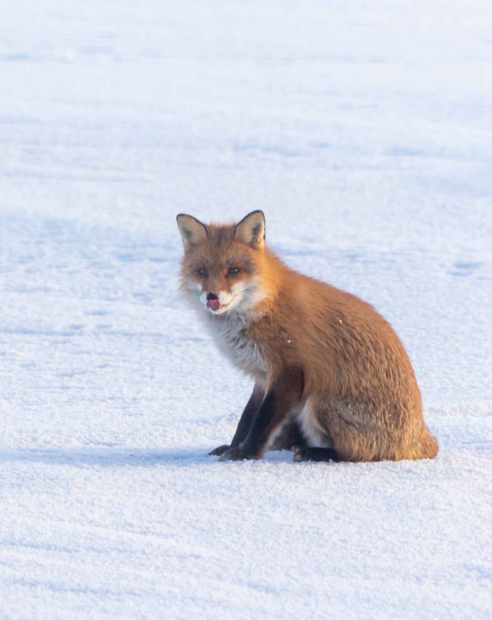 Valokuvaaja: Anne keskivinkka