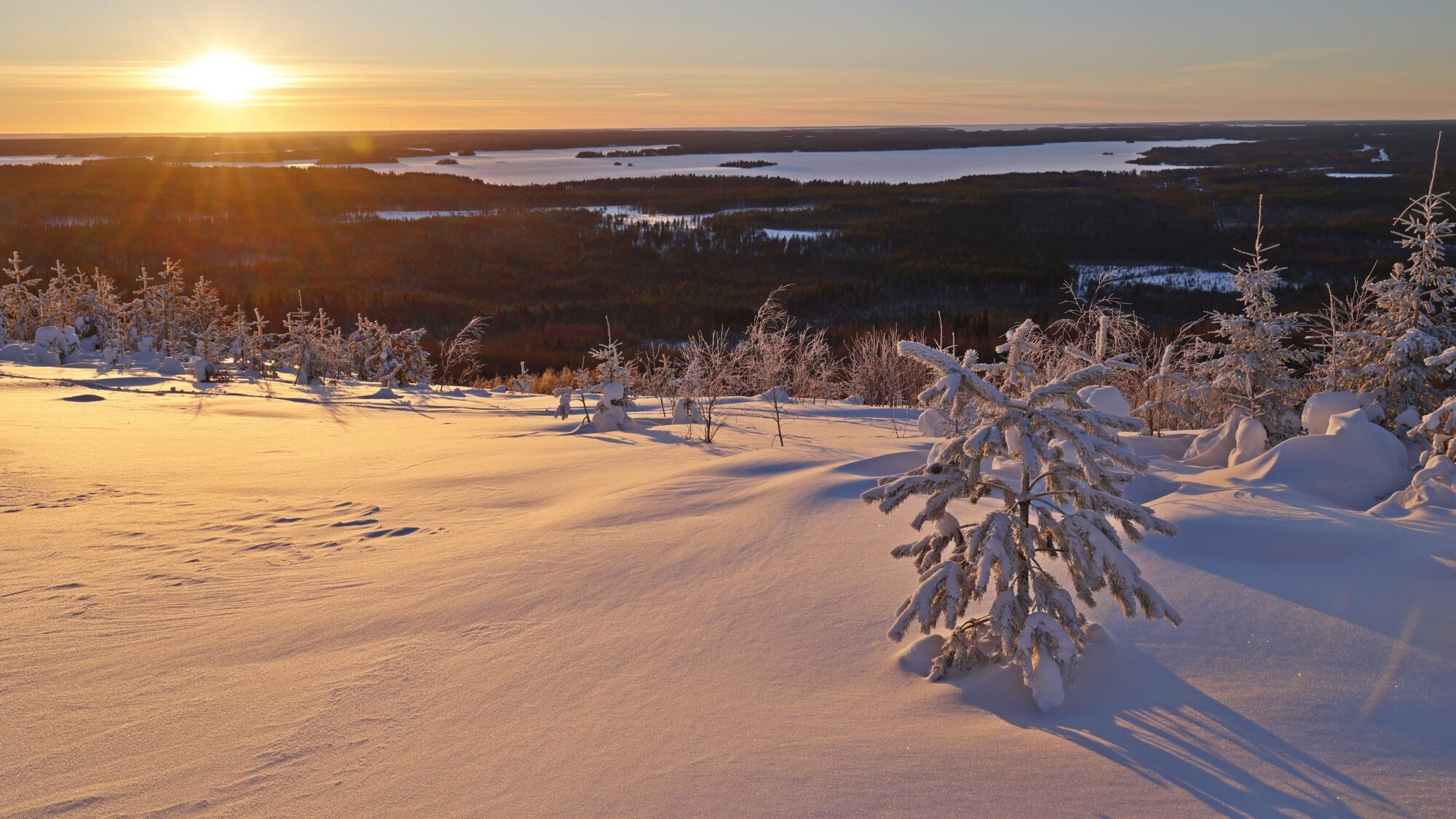 Valokuvaaja: TOMMI KUJALA