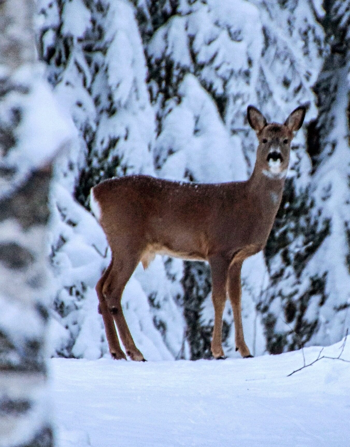 Valokuvaaja: Pirjo Kallio