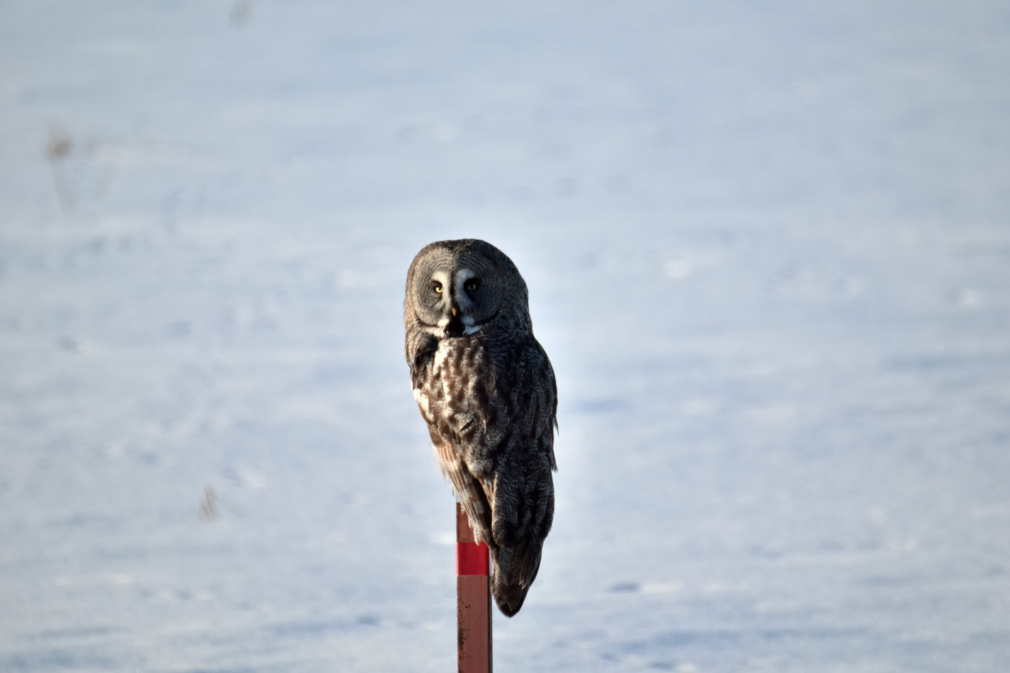 Valokuvaaja: Riitta Marjamäki