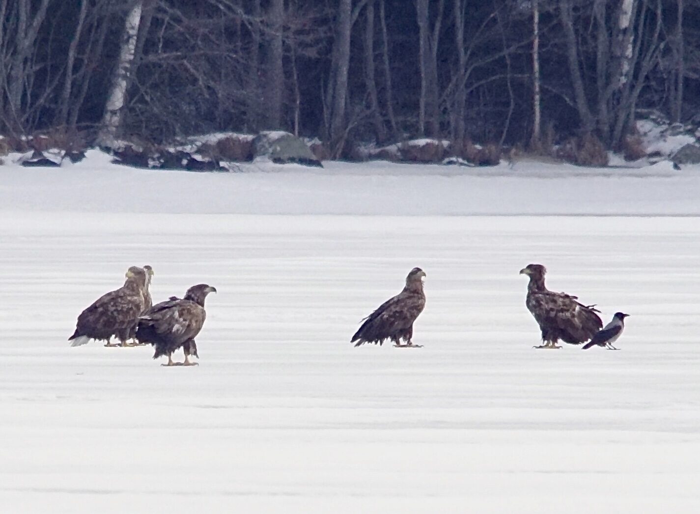 Valokuvaaja: Markku Ranta-Eilola