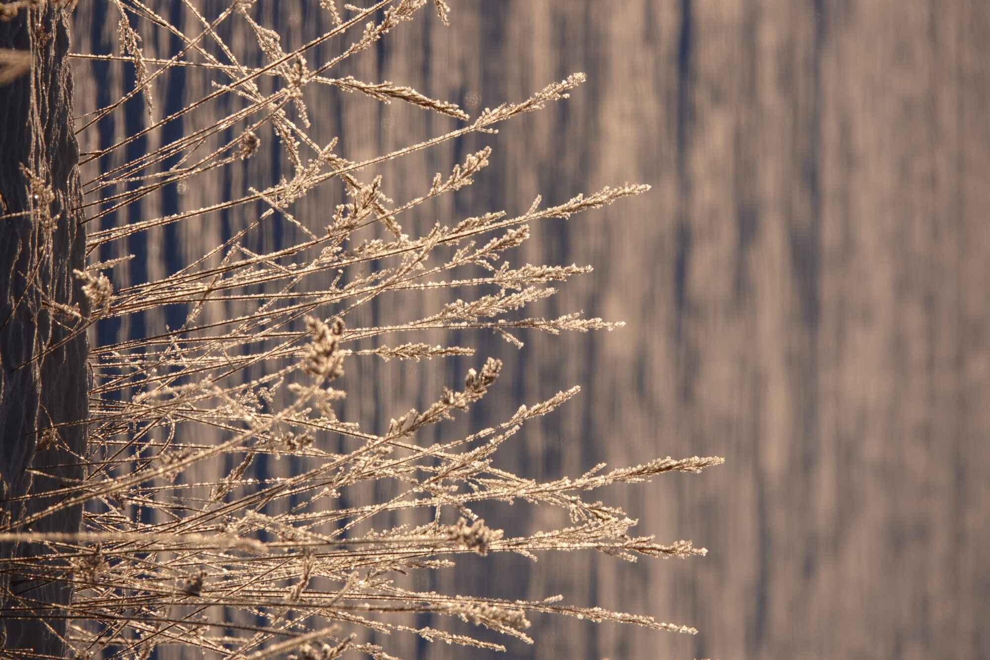 Valokuvaaja: Jenna Pitkänen
