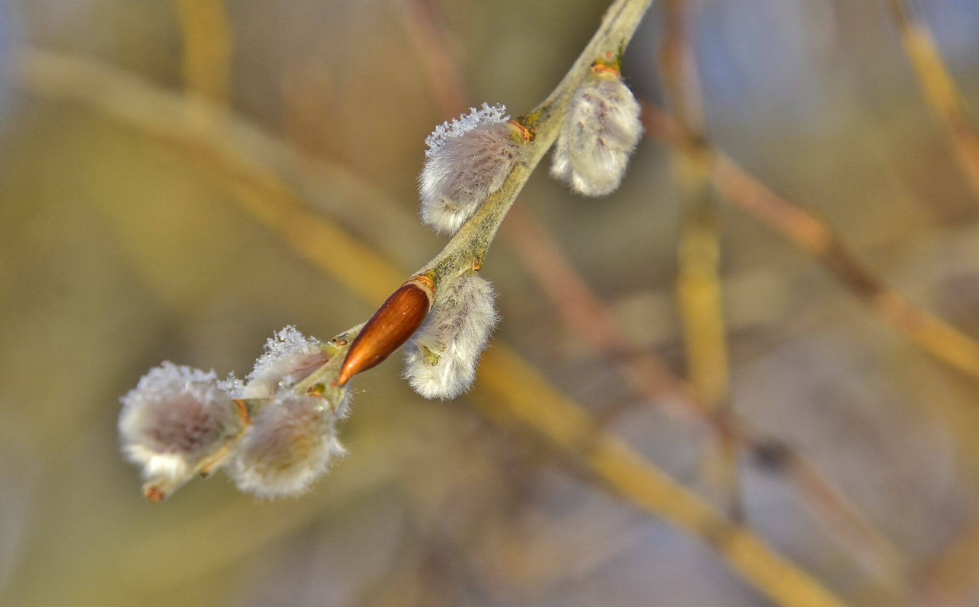Valokuvaaja: Markku Pelkonen