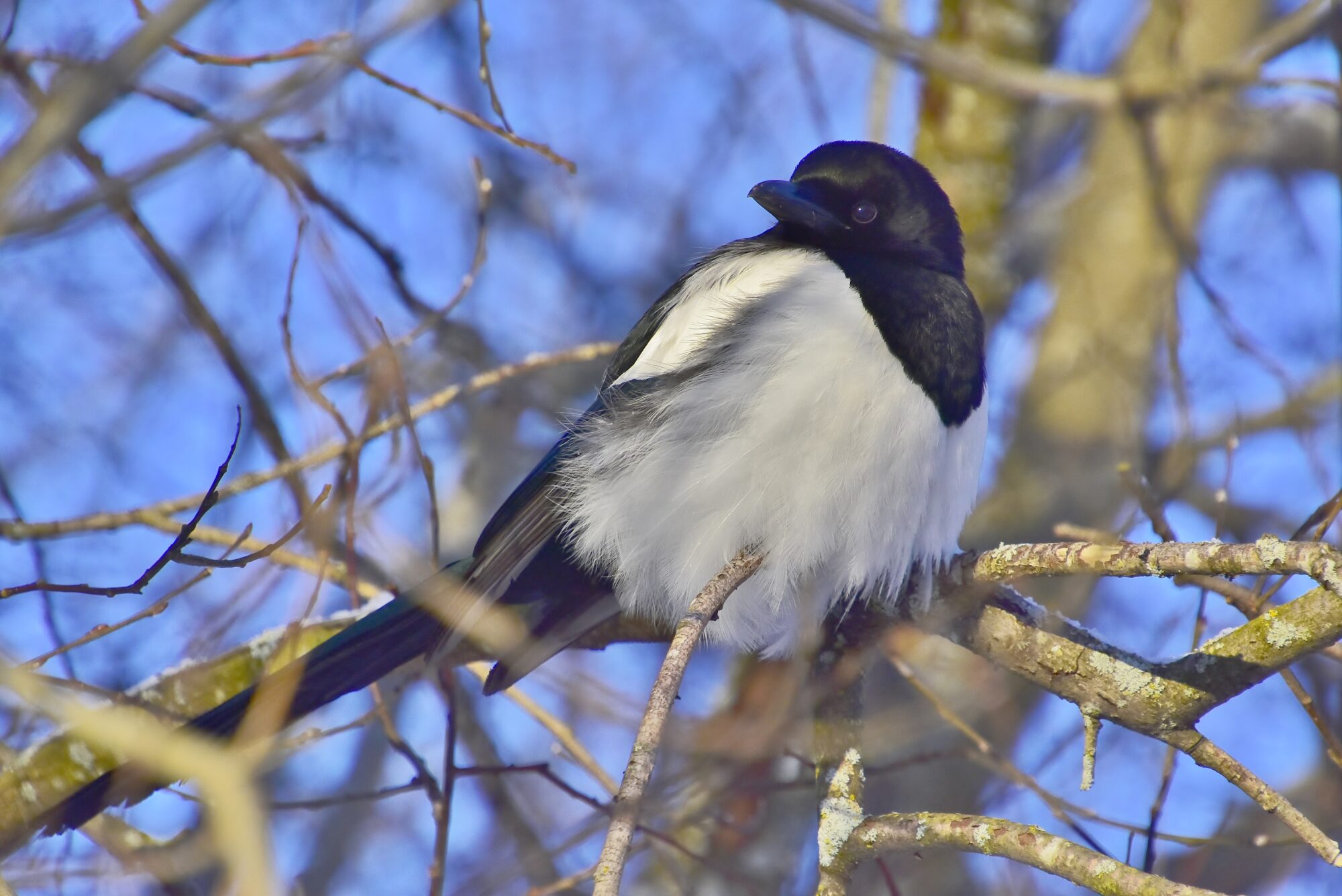 Valokuvaaja: Markku Pelkonen