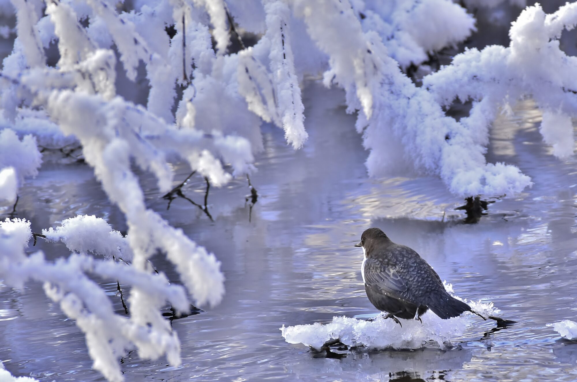 Valokuvaaja: Markku Pelkonen