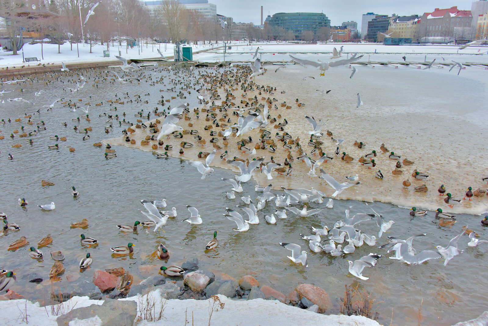 Valokuvaaja: Reijo juurinen