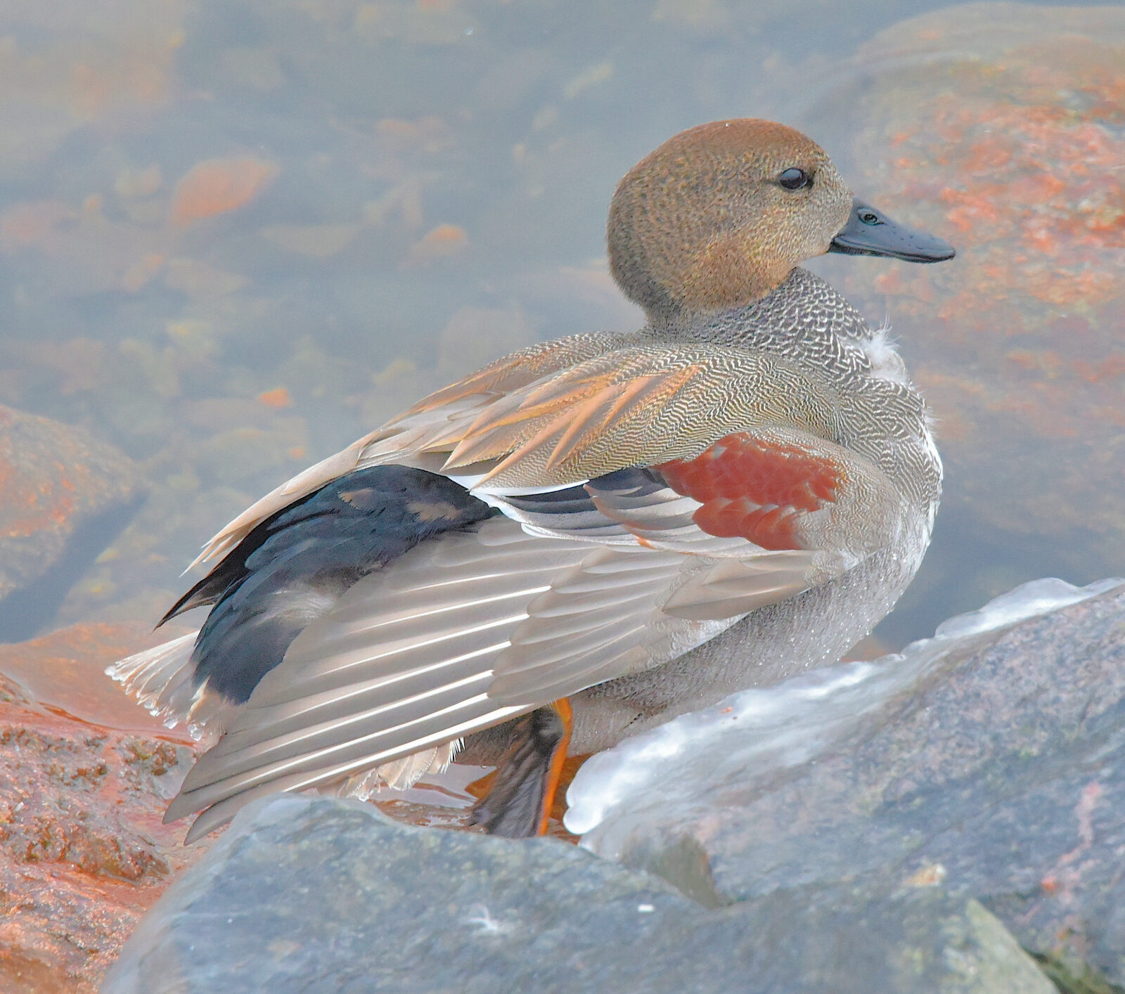Valokuvaaja: Reijo juurinen