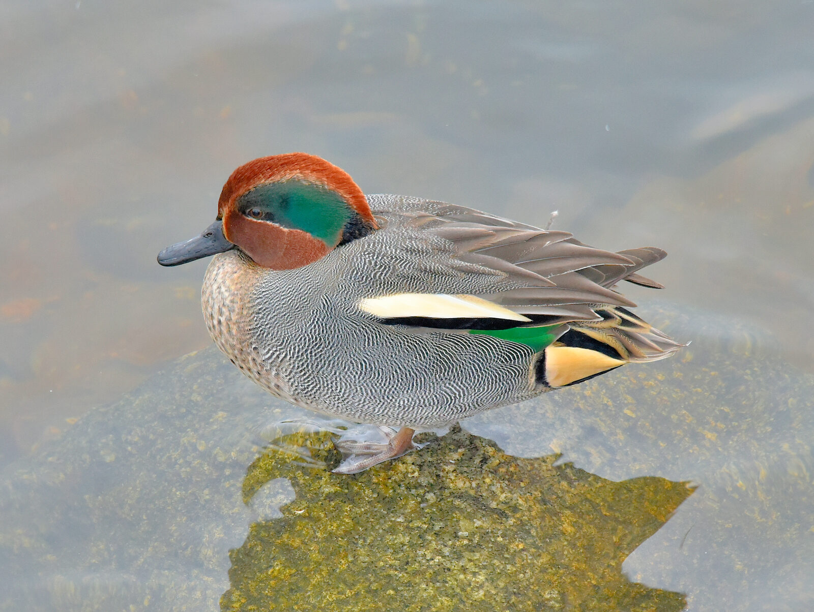 Valokuvaaja: Reijo juurinen
