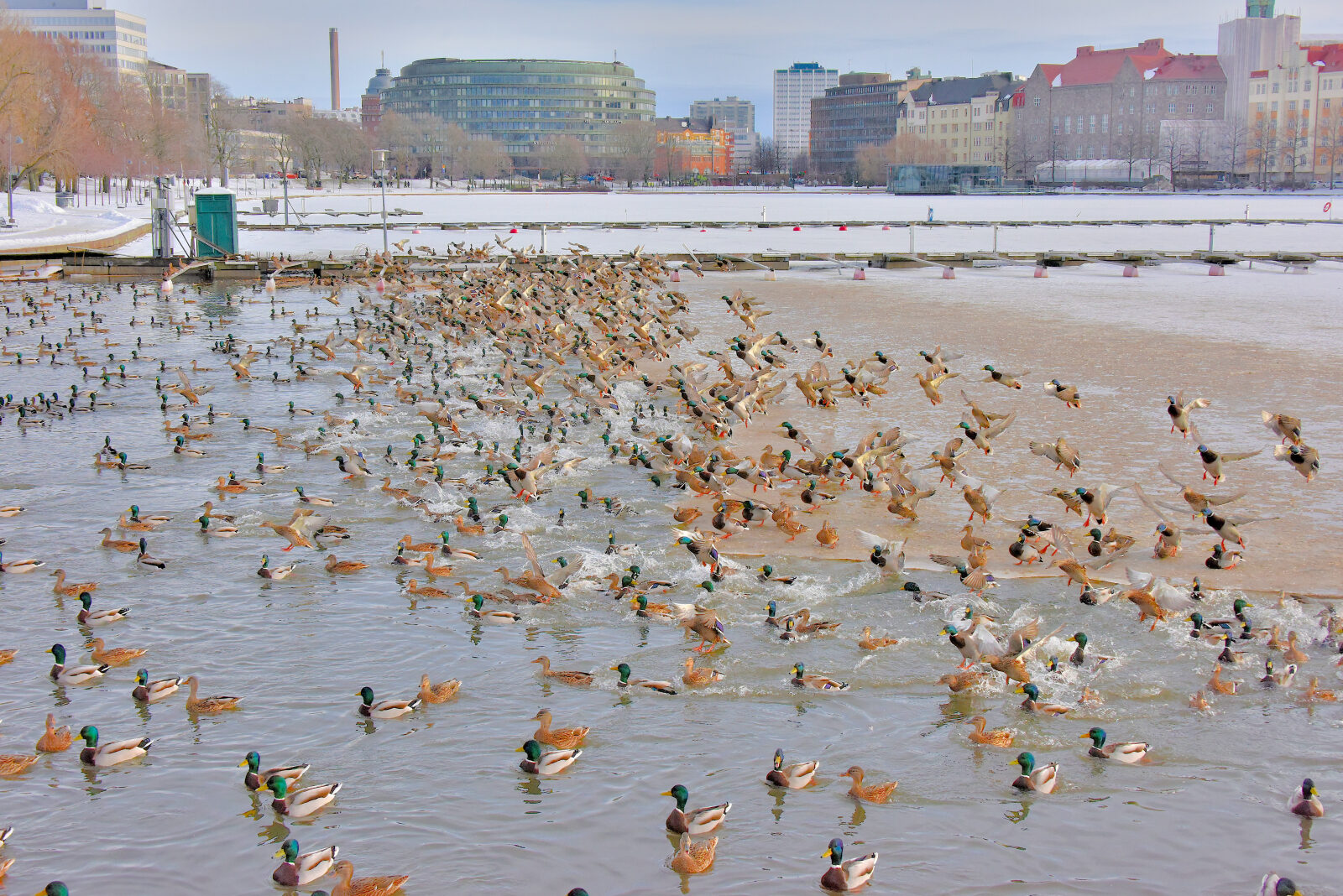 Valokuvaaja: Reijo juurinen Valokuvaaja: Reijo juurinen