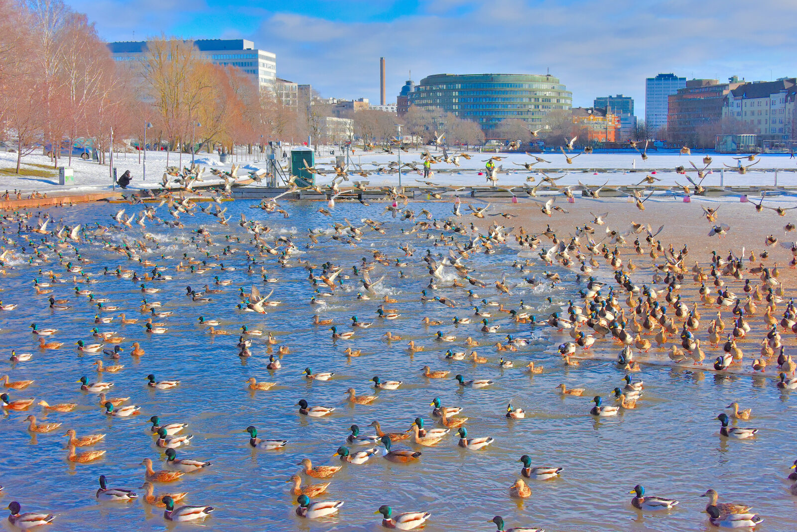 Valokuvaaja: Reijo juurinen Valokuvaaja: Reijo juurinen
