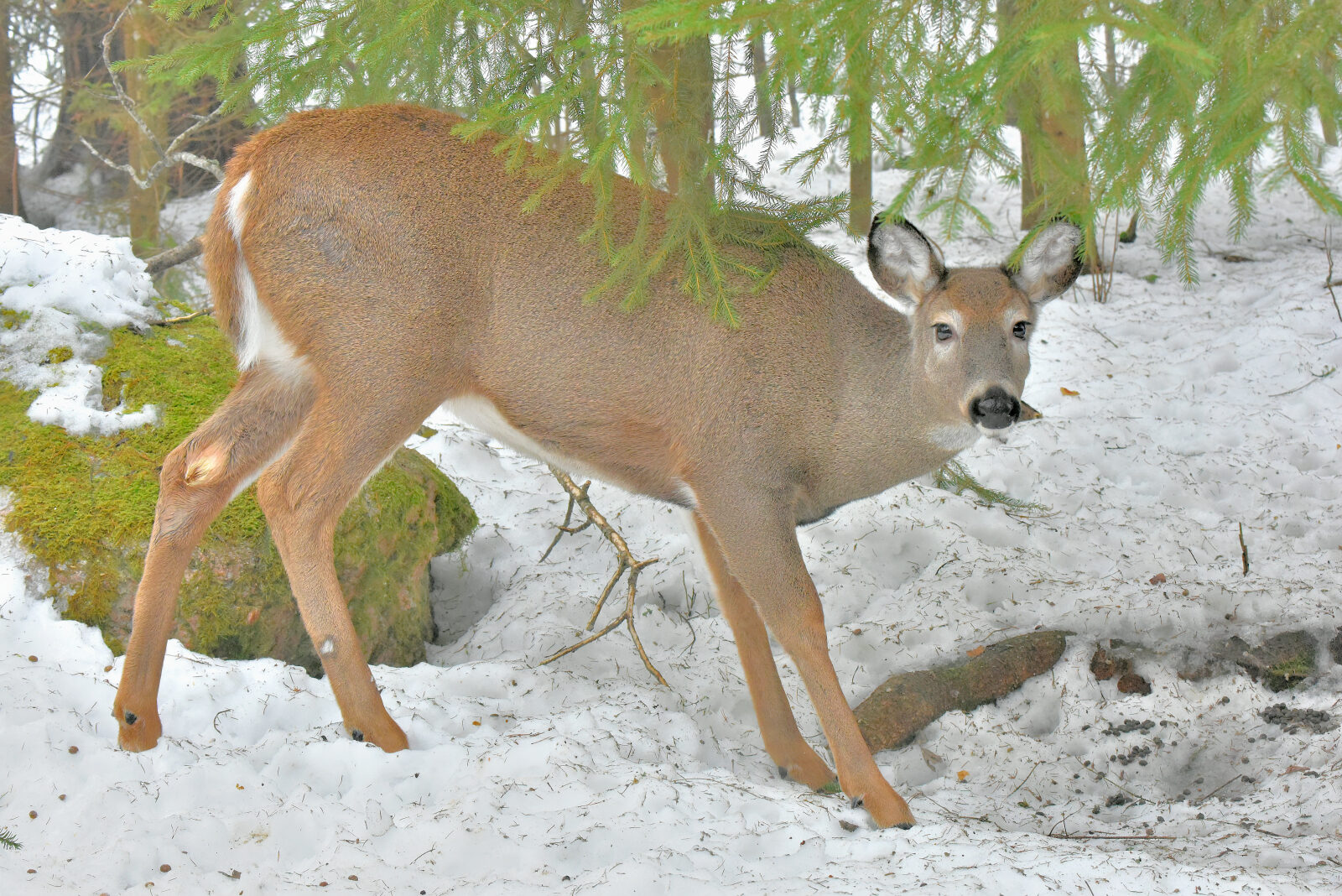 Valokuvaaja: Reijo juurinen