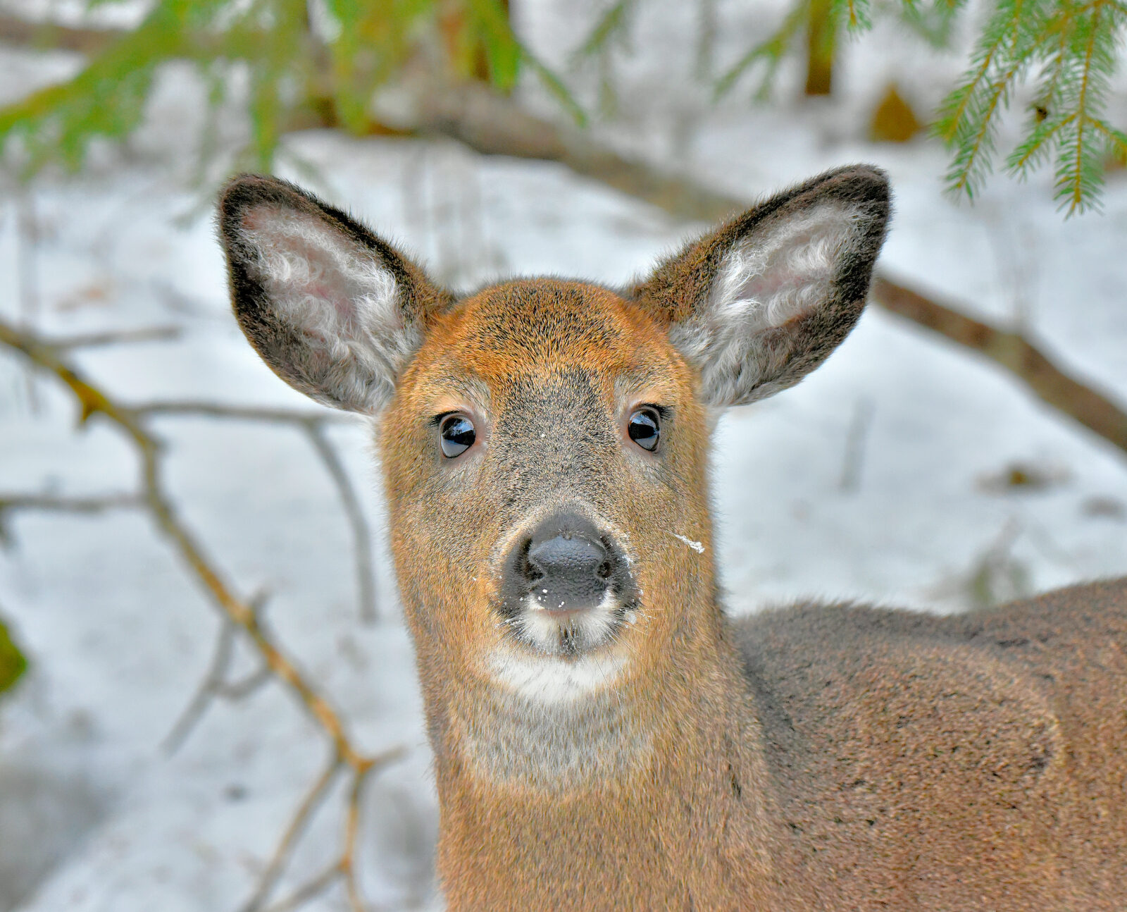 Valokuvaaja: Reijo Juurinen