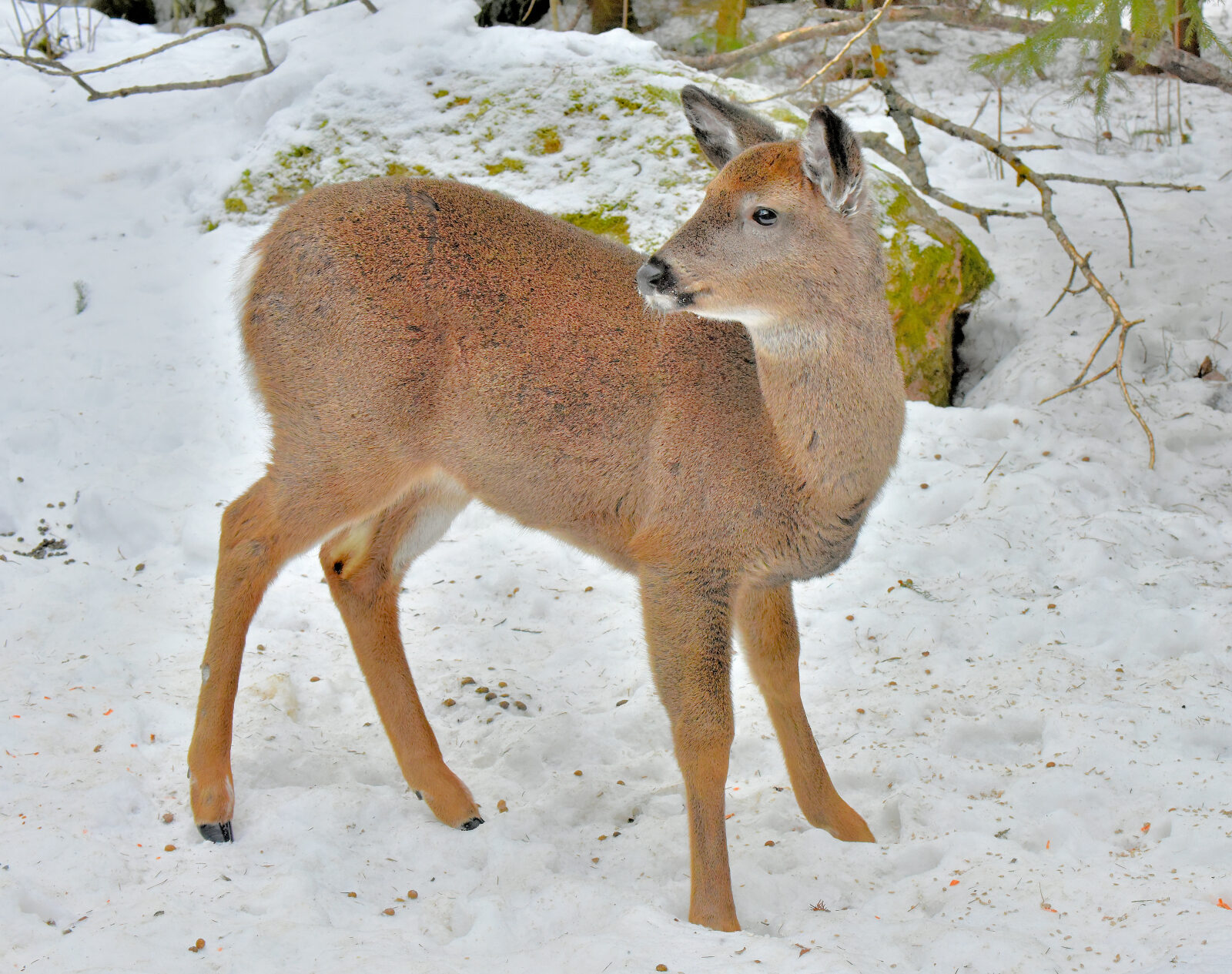 Valokuvaaja: Reijo juurinen