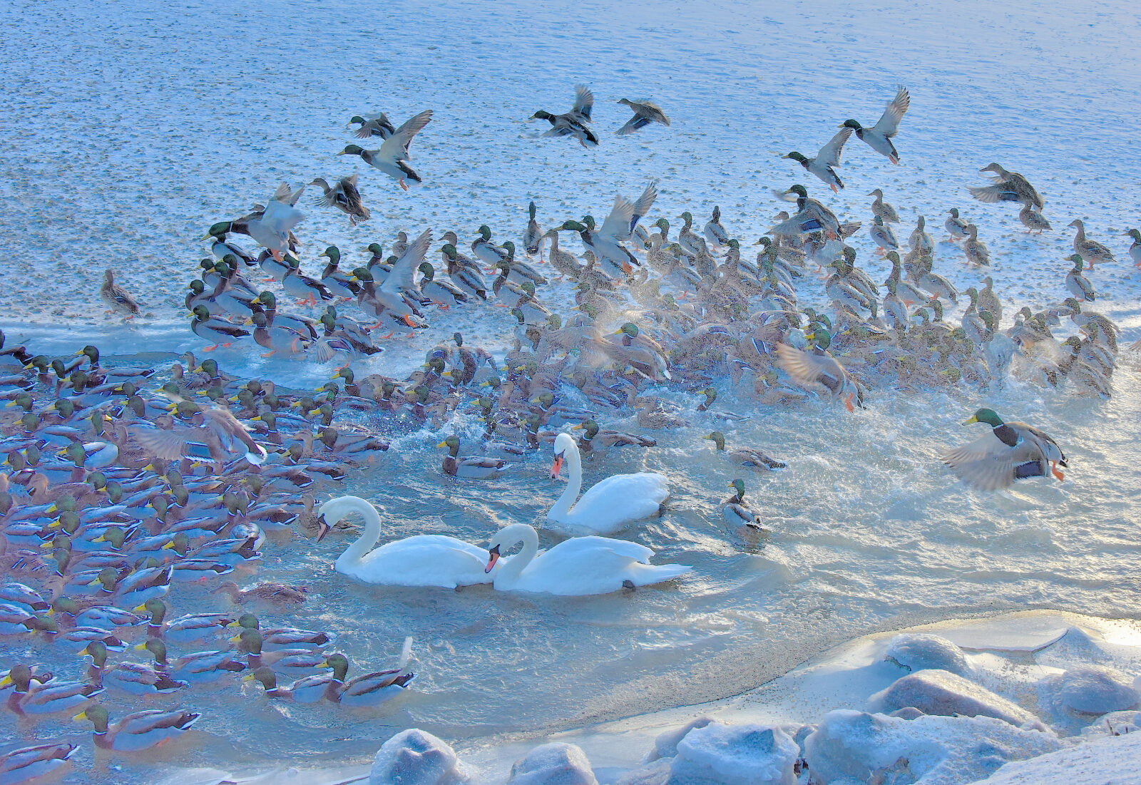 Valokuvaaja: Reijo Juurinen