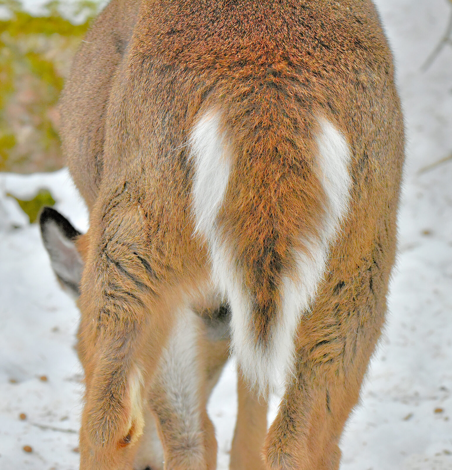 Valokuvaaja: Reijo juurinen