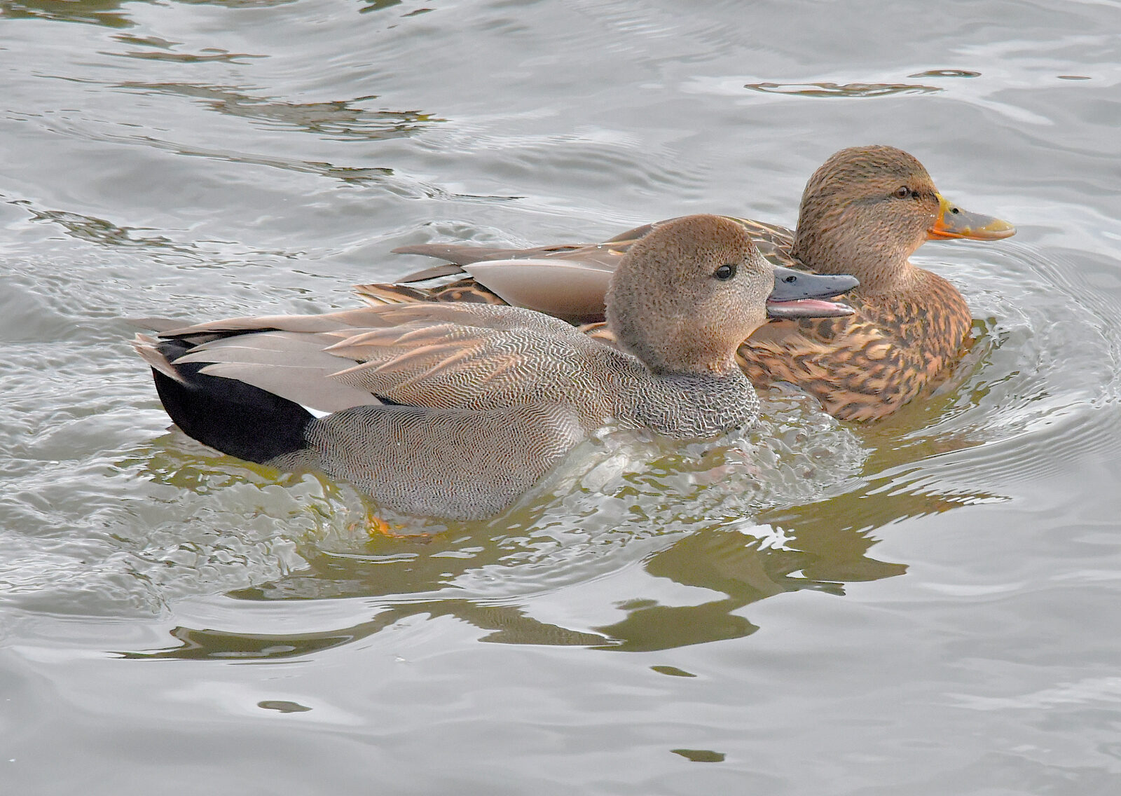 Valokuvaaja: Reijo Juurinen