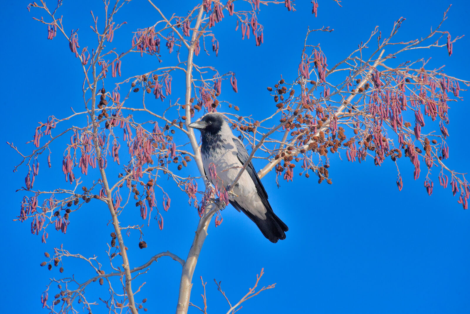 Valokuvaaja: Reijo Juurinen