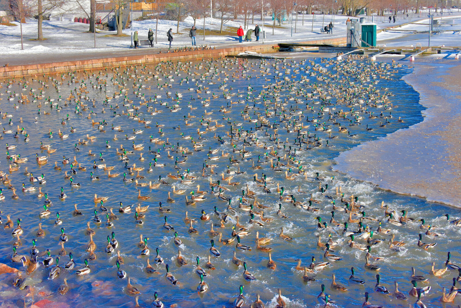 Valokuvaaja: Reijo Juurinen
