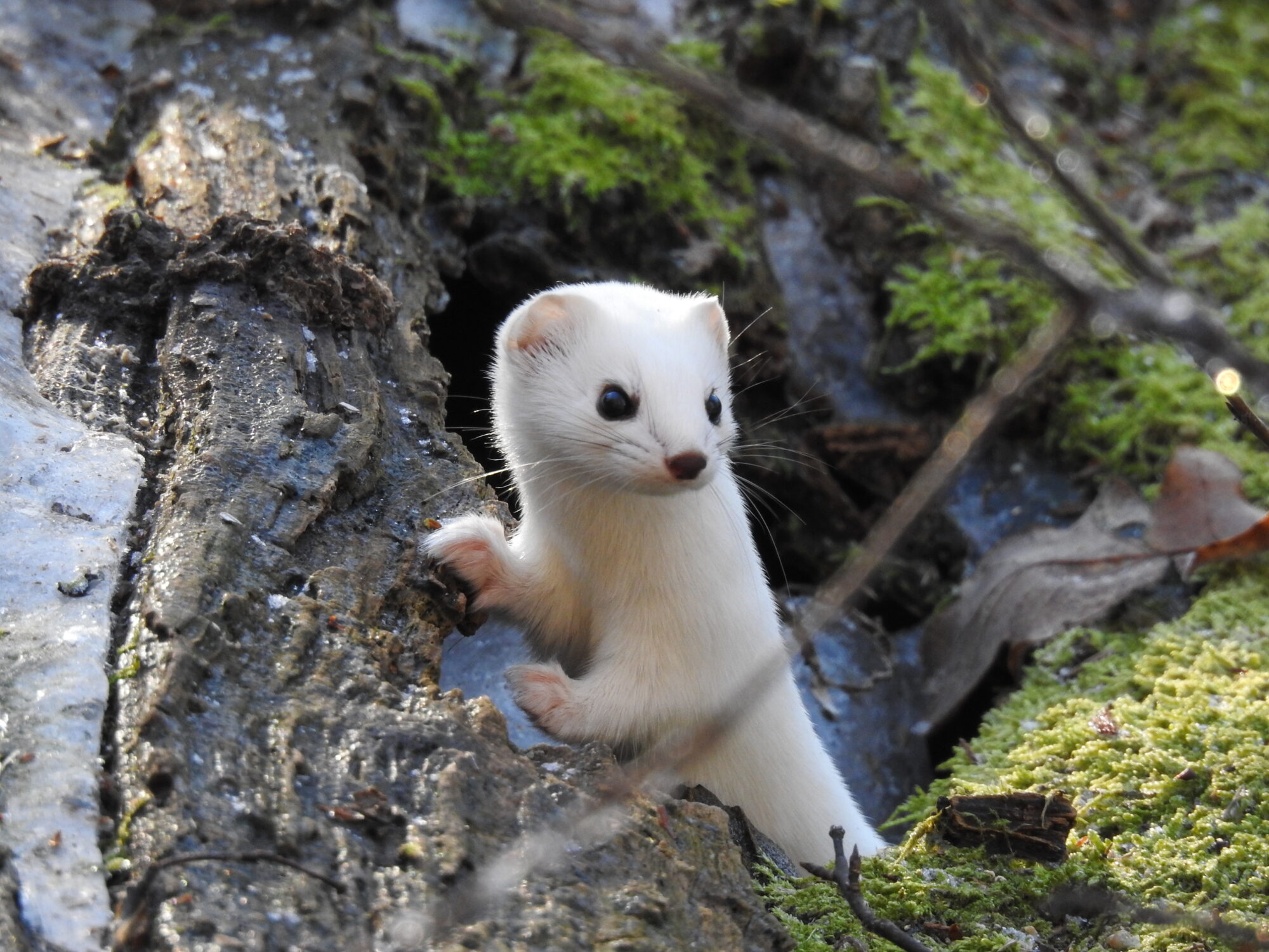 Valokuvaaja: Jarmo Mantere