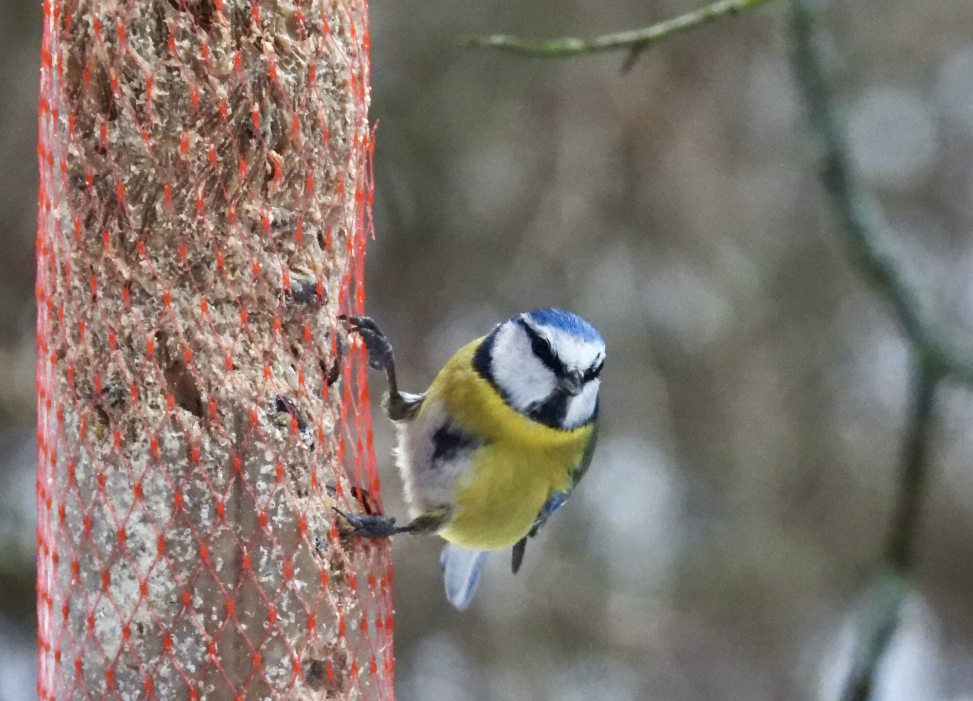 Valokuvaaja: Juhani Peltonen