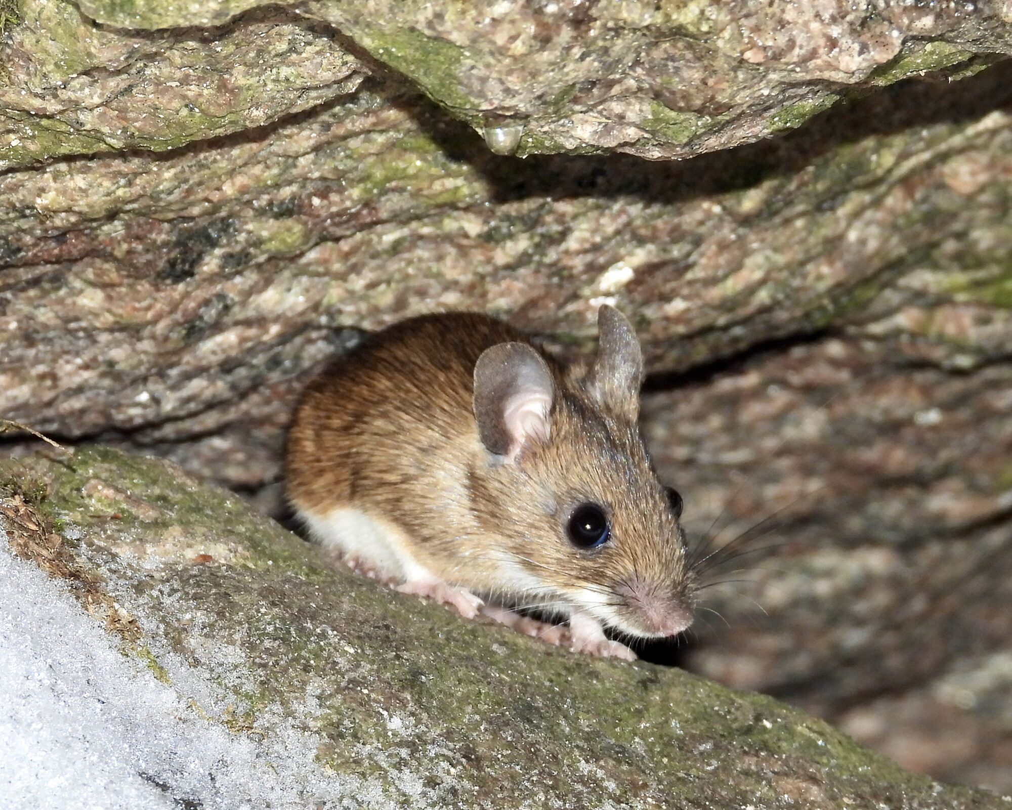 Valokuvaaja: Juhani Peltonen