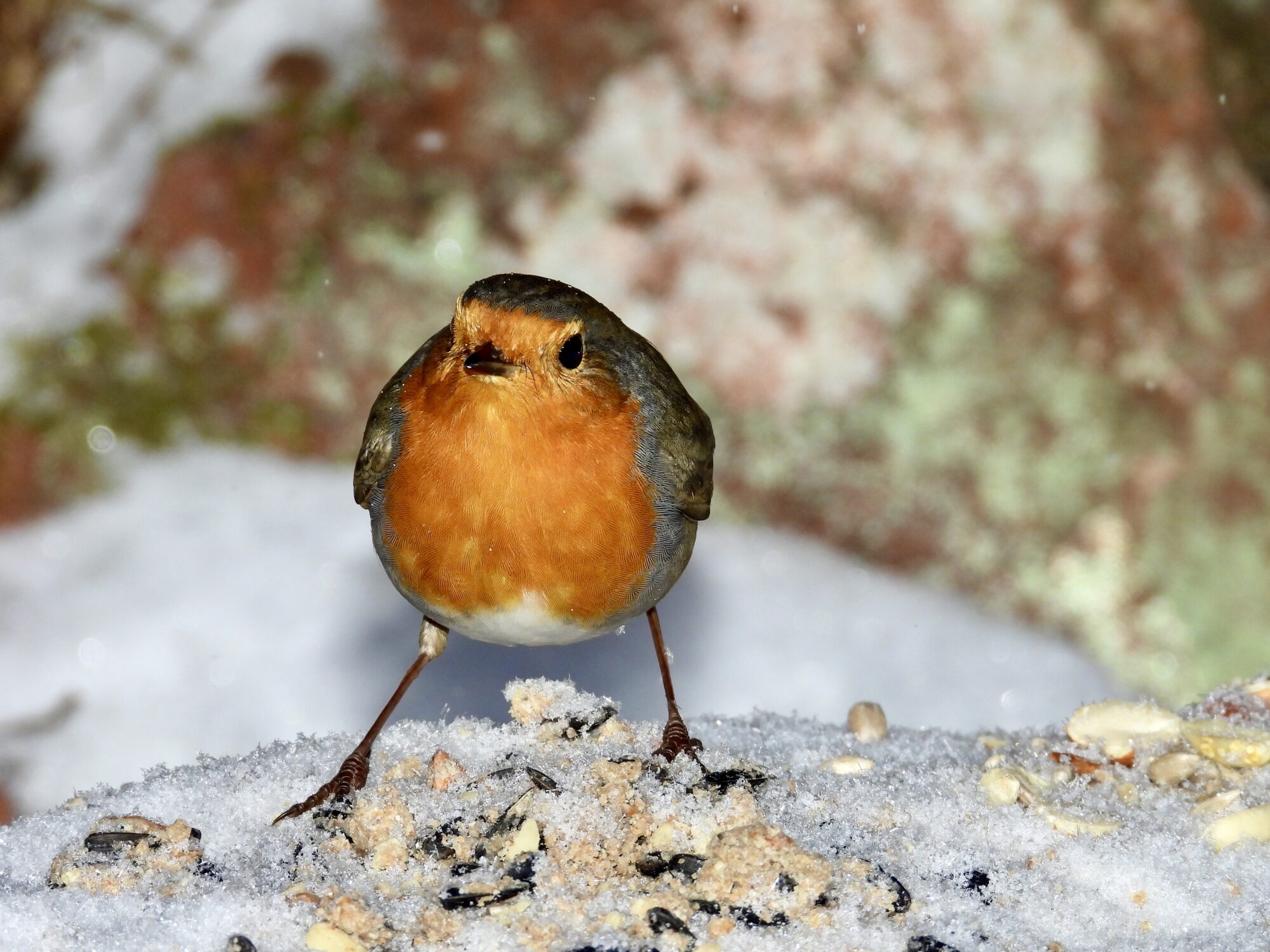 Valokuvaaja: Juhani Peltonen