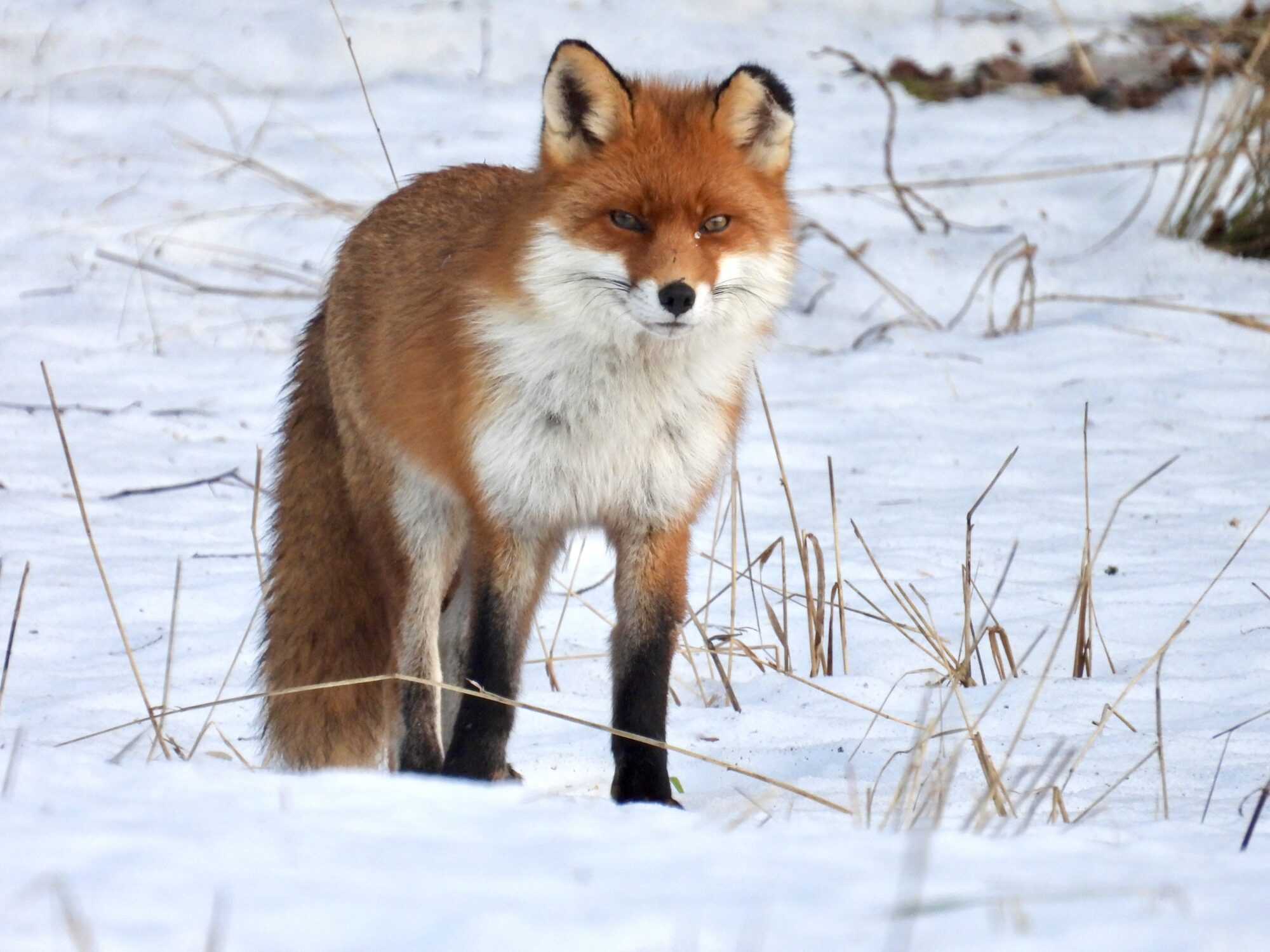 Valokuvaaja: Juhani Peltonen Valokuvaaja: Juhani Peltonen