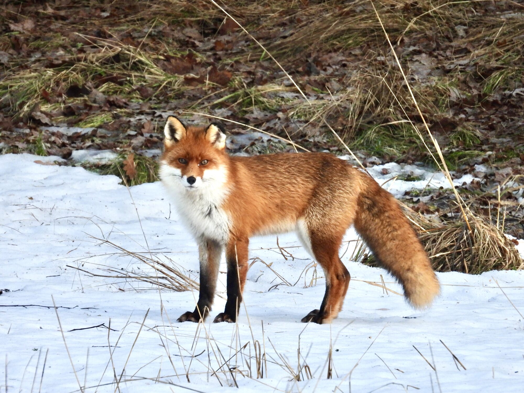 Valokuvaaja: Juhani Peltonen