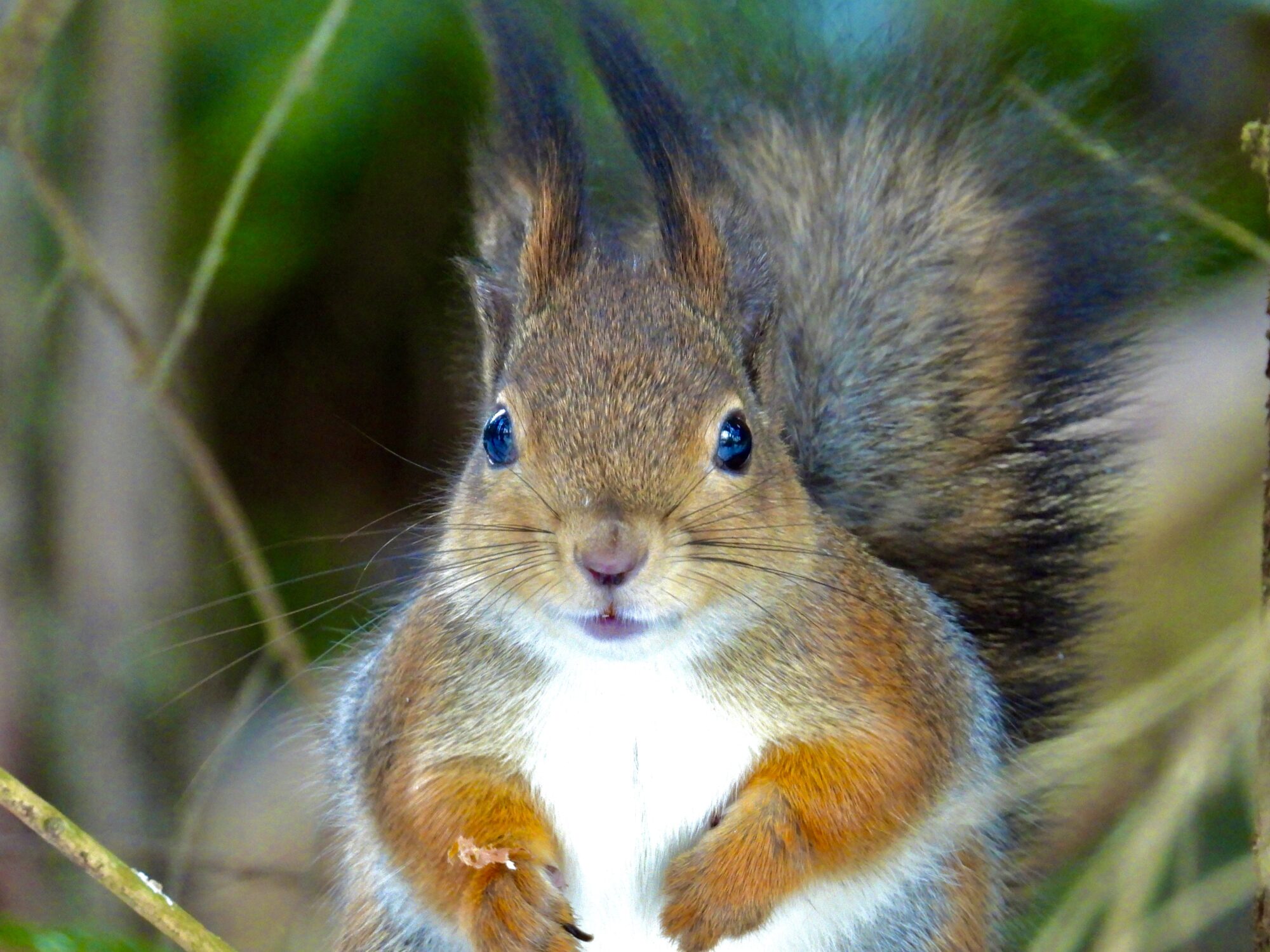 Valokuvaaja: Juhani Peltonen