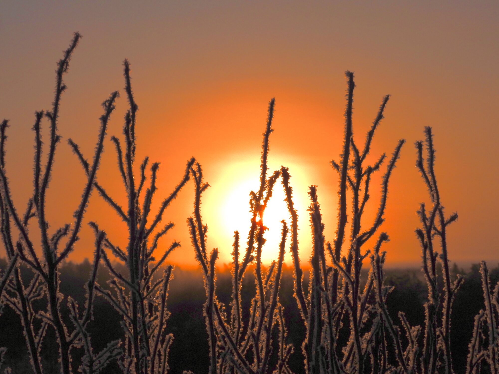 Valokuvaaja: Juhani Peltonen