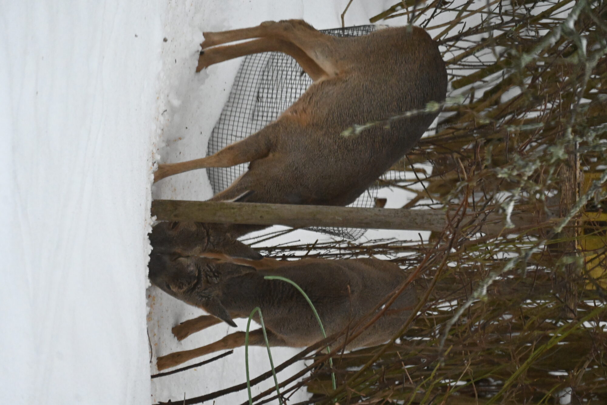 Valokuvaaja: Emilia Miettinen