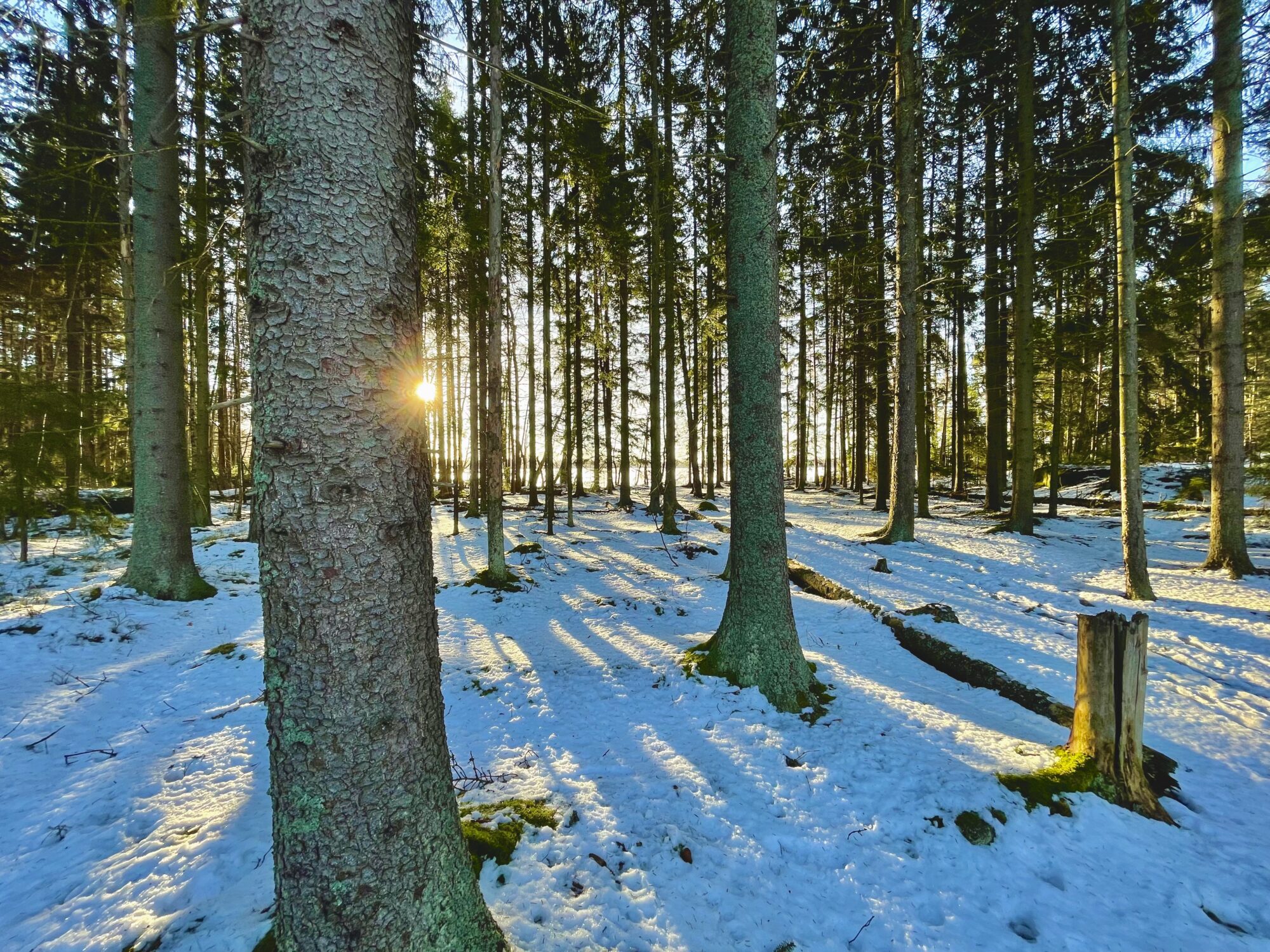 Valokuvaaja: Juhani Peltonen