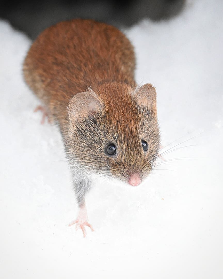 Valokuvaaja: Olli Inkinen