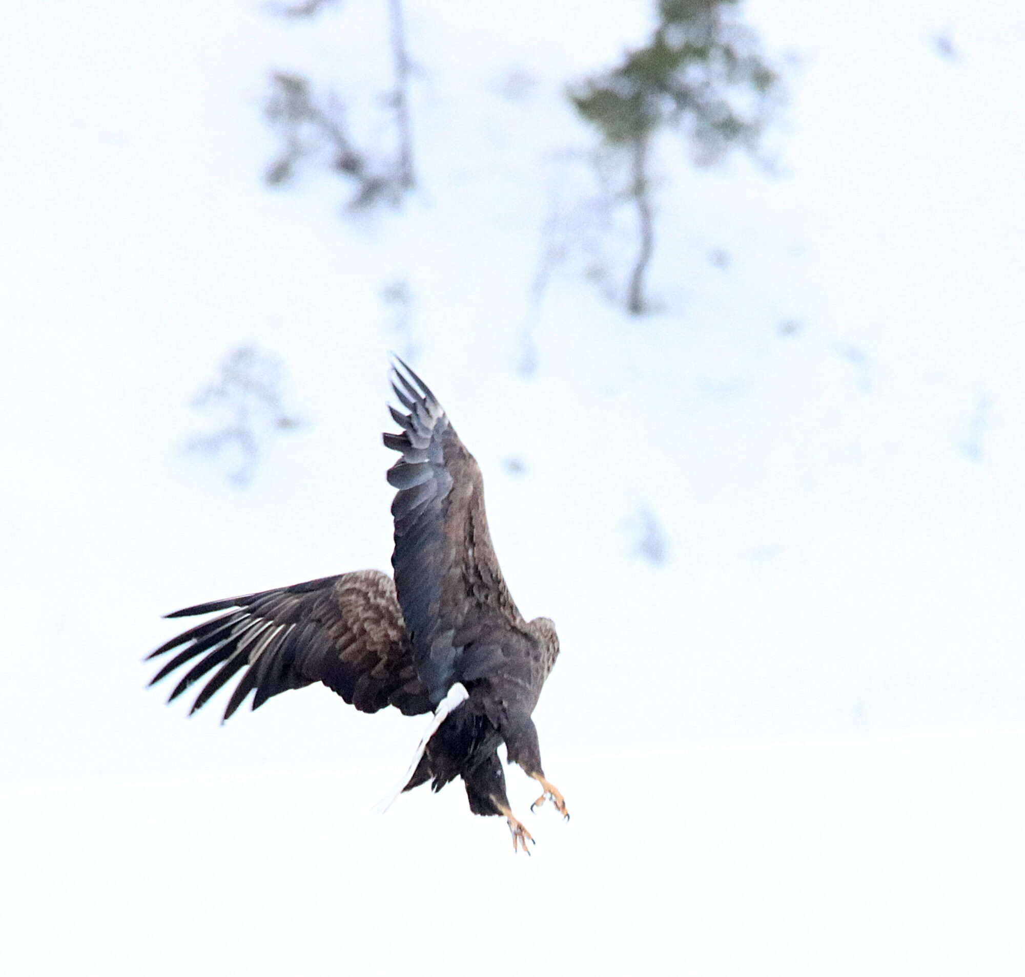 Valokuvaaja: Irja Lehtinen