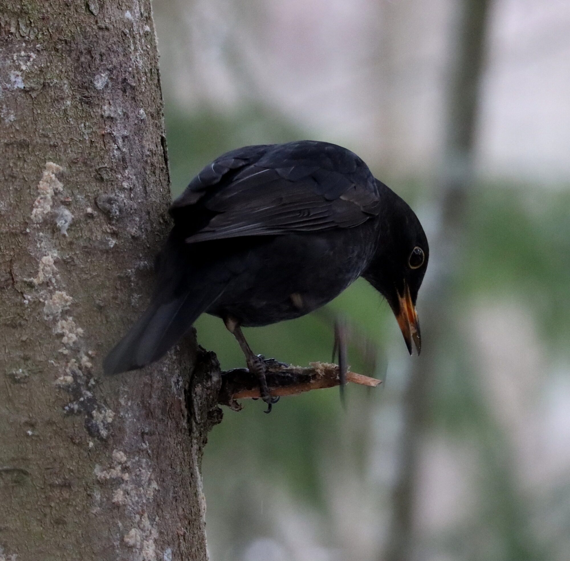 Valokuvaaja: Irja Lehtinen