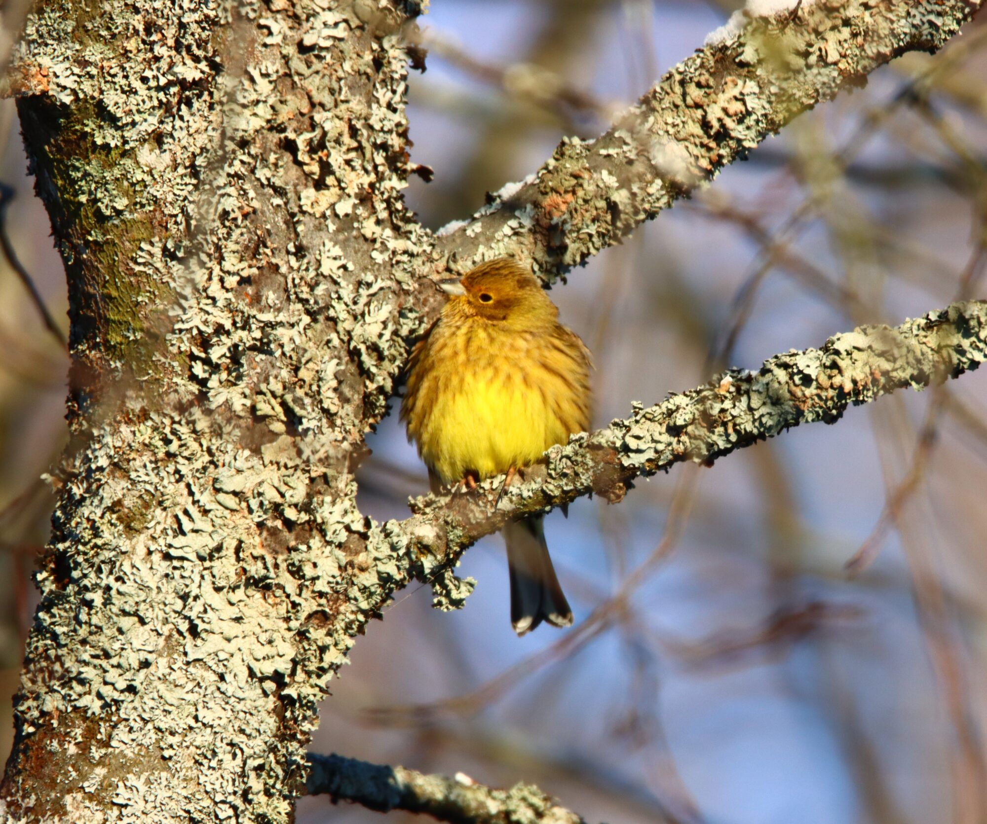 Valokuvaaja: Irja Lehtinen