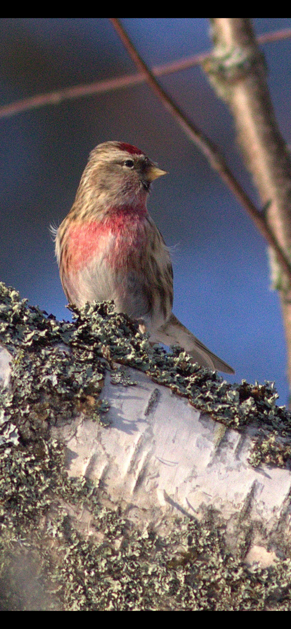 Valokuvaaja: Tapio Keinonen
