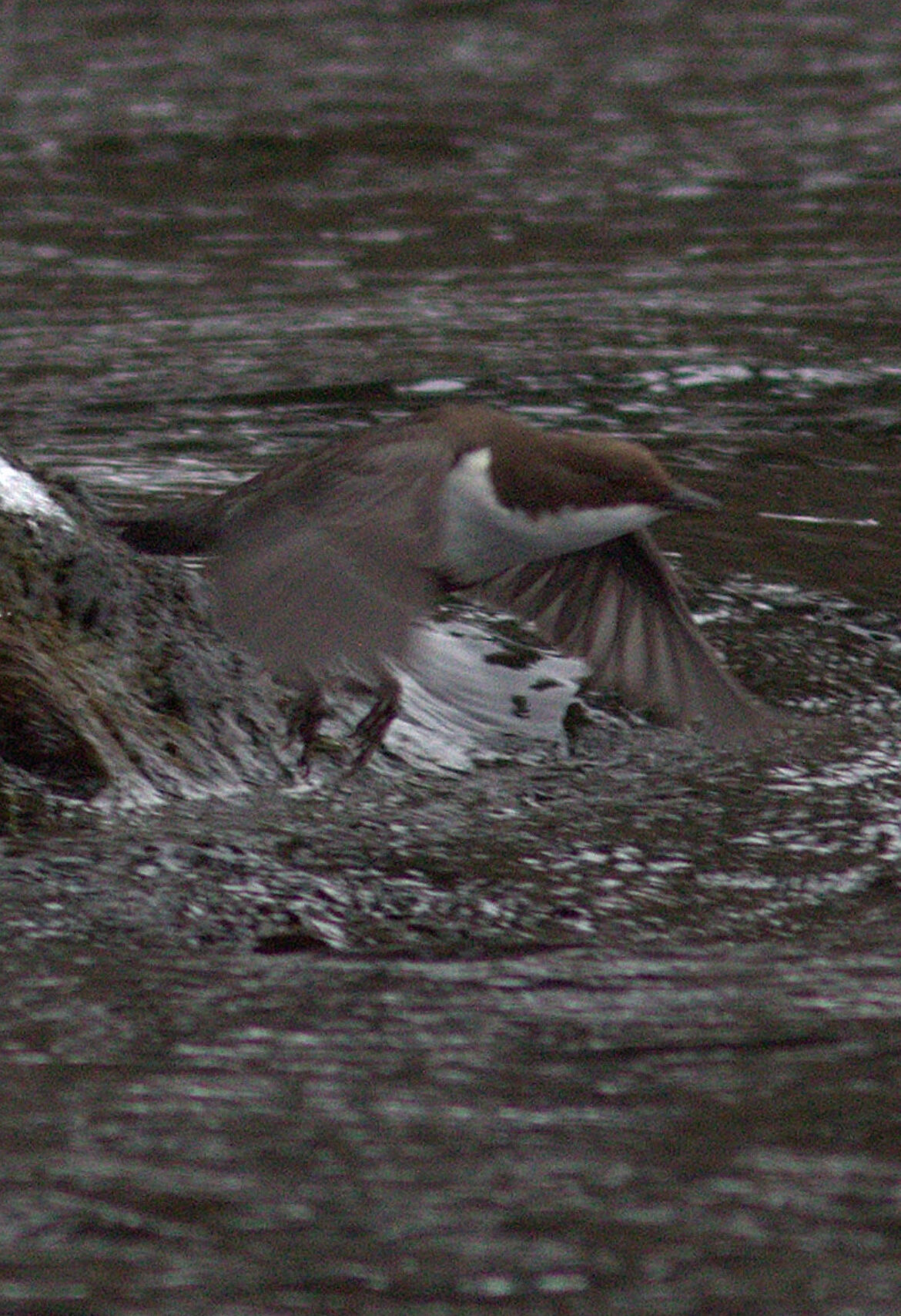 Valokuvaaja: Tapio Keinonen