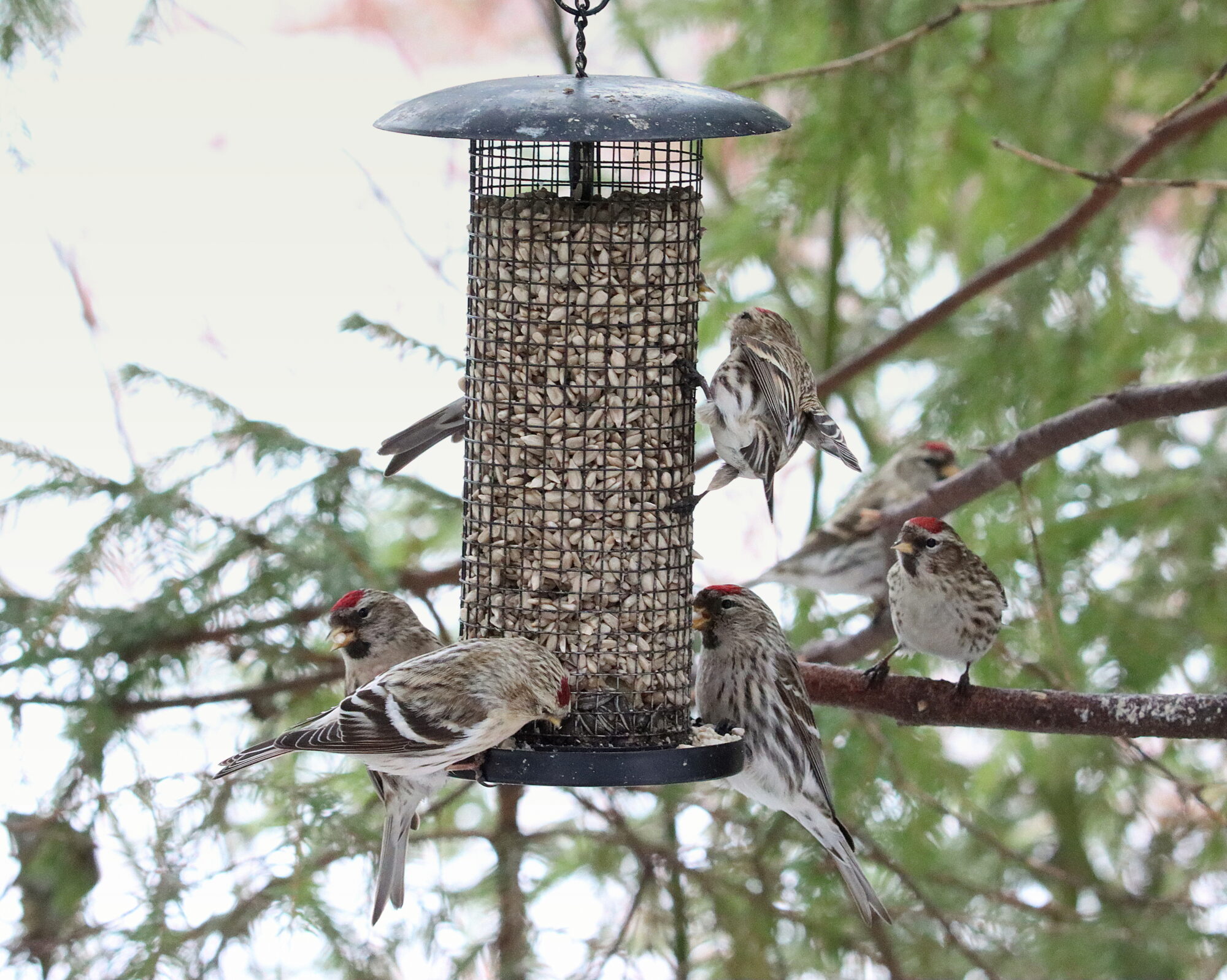 Valokuvaaja: Irja Lehtinen